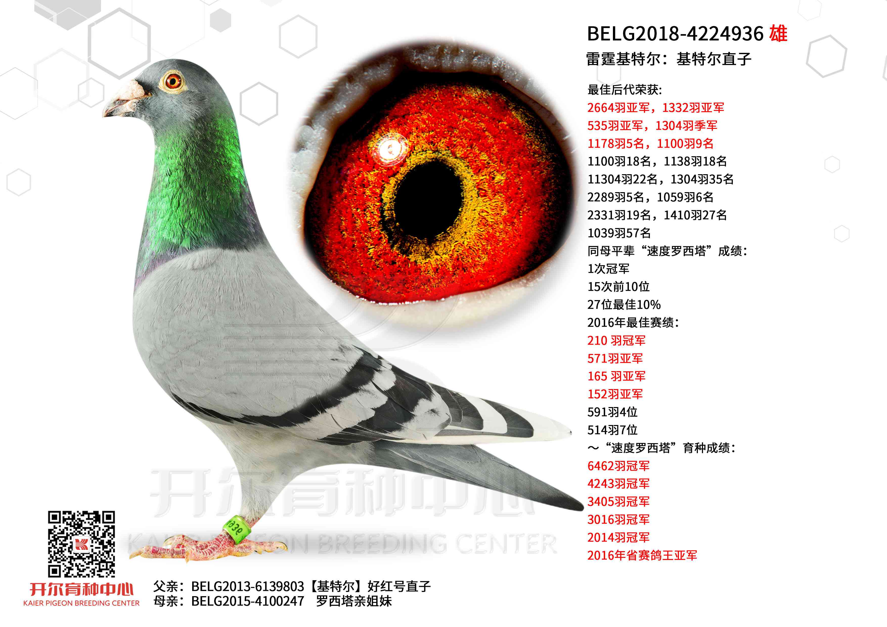 �������ض������ض�ֱ��