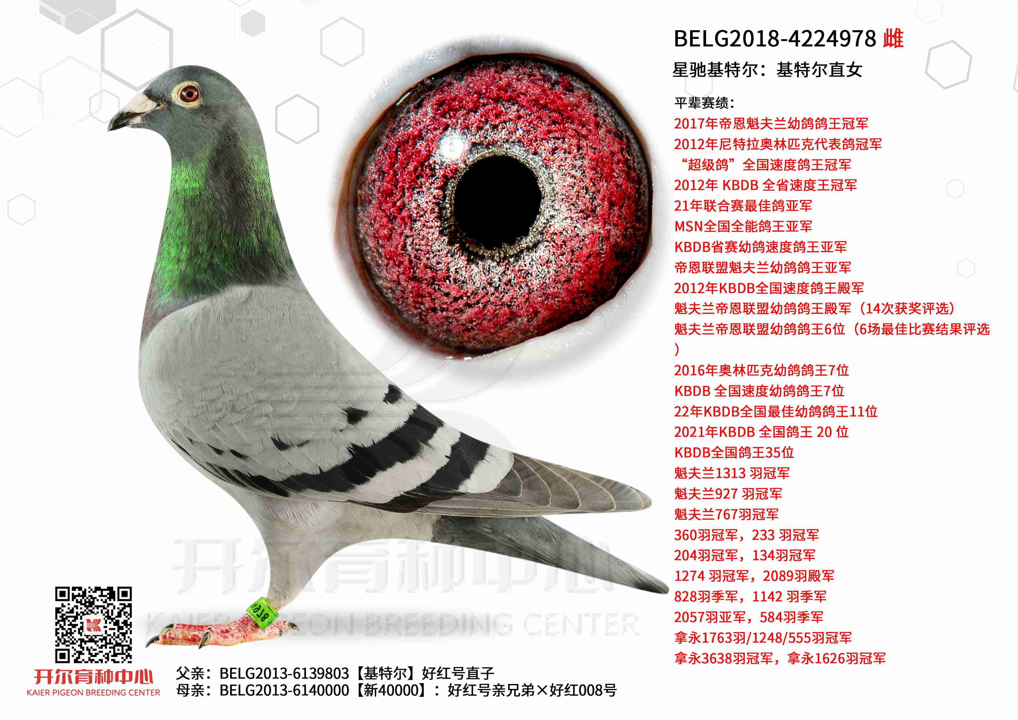 �ǳۻ��ض������ض�ֱŮ