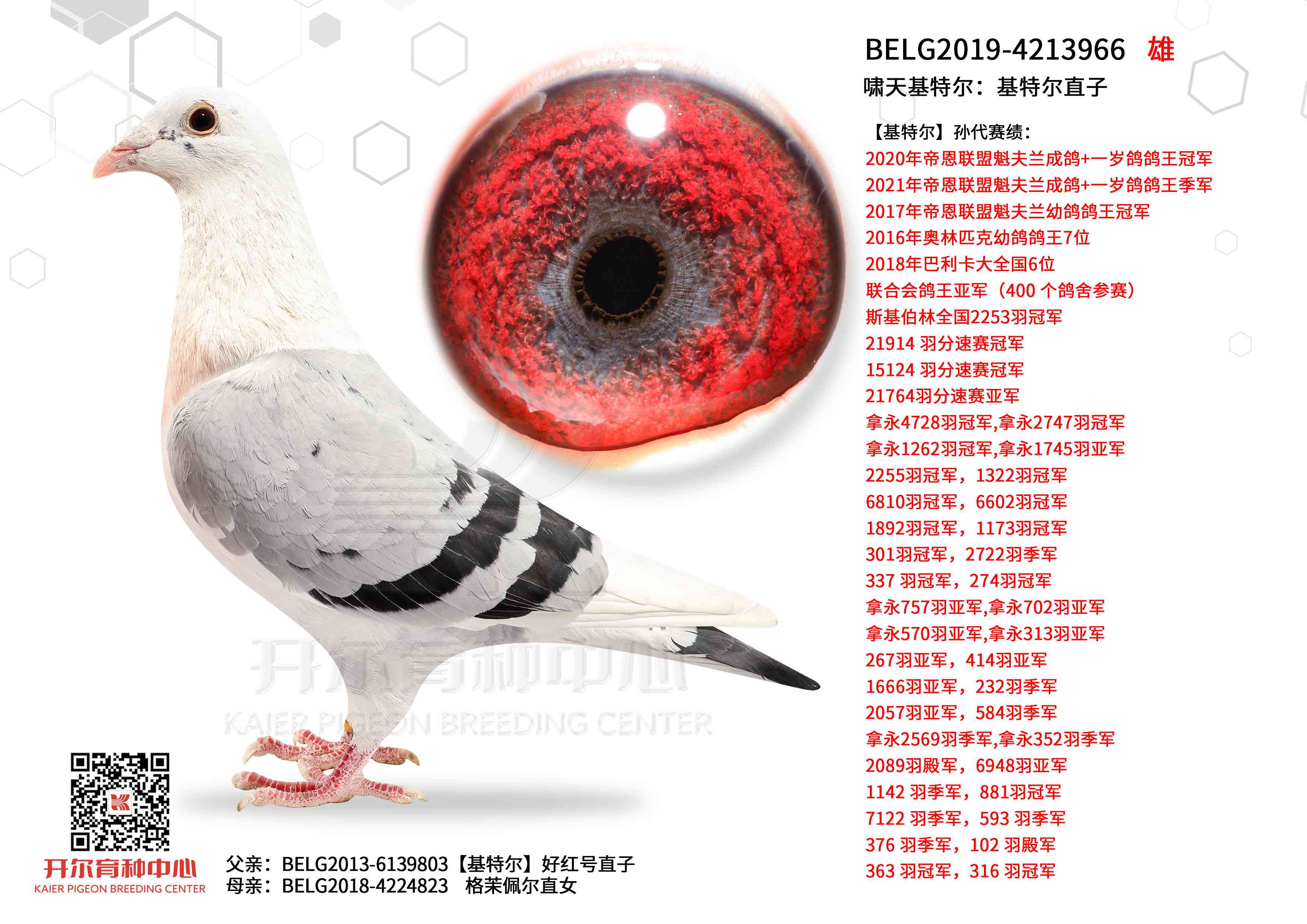 Х����ض������ض�ֱ��