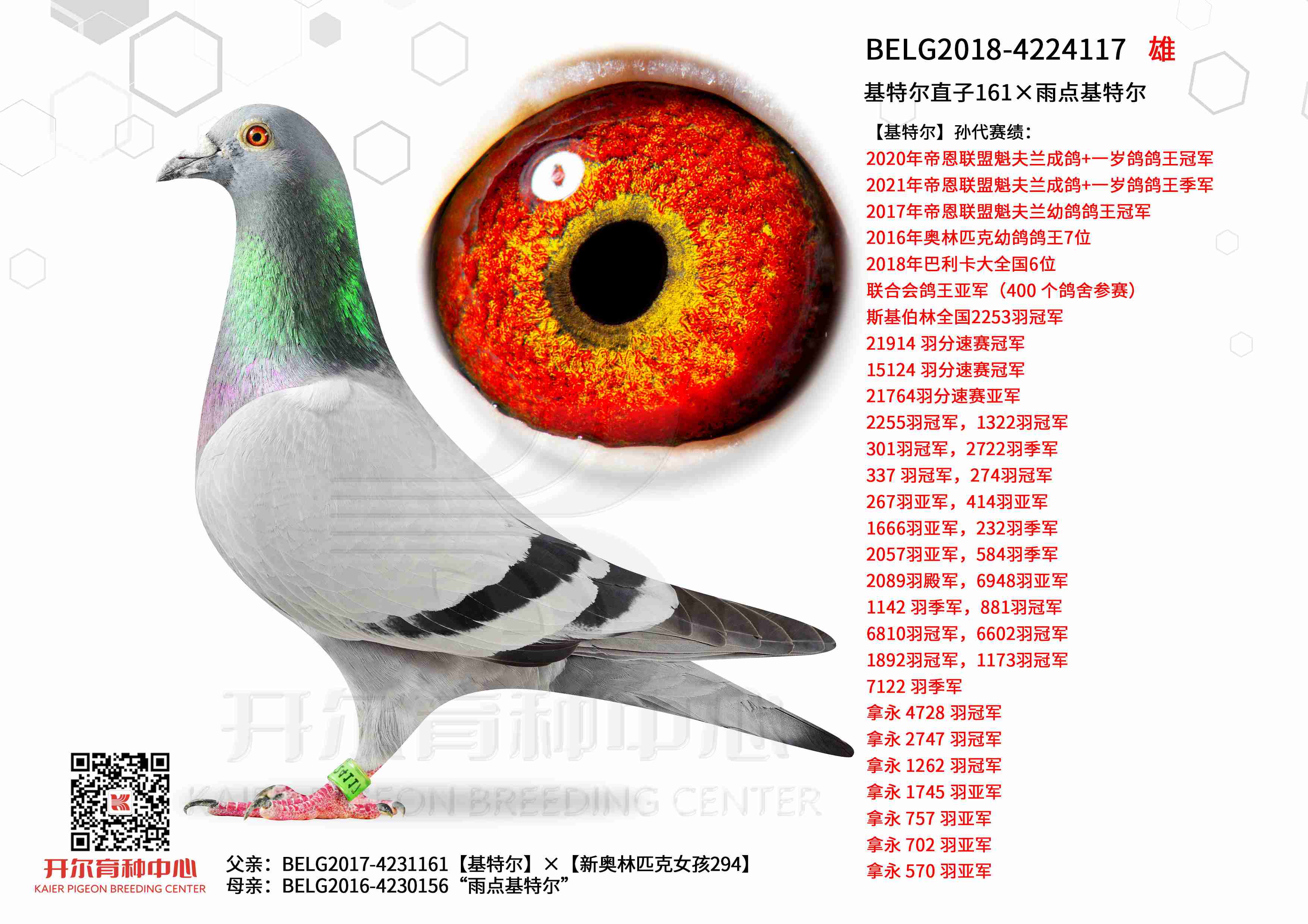 ���ض�ֱ��161�������ض�