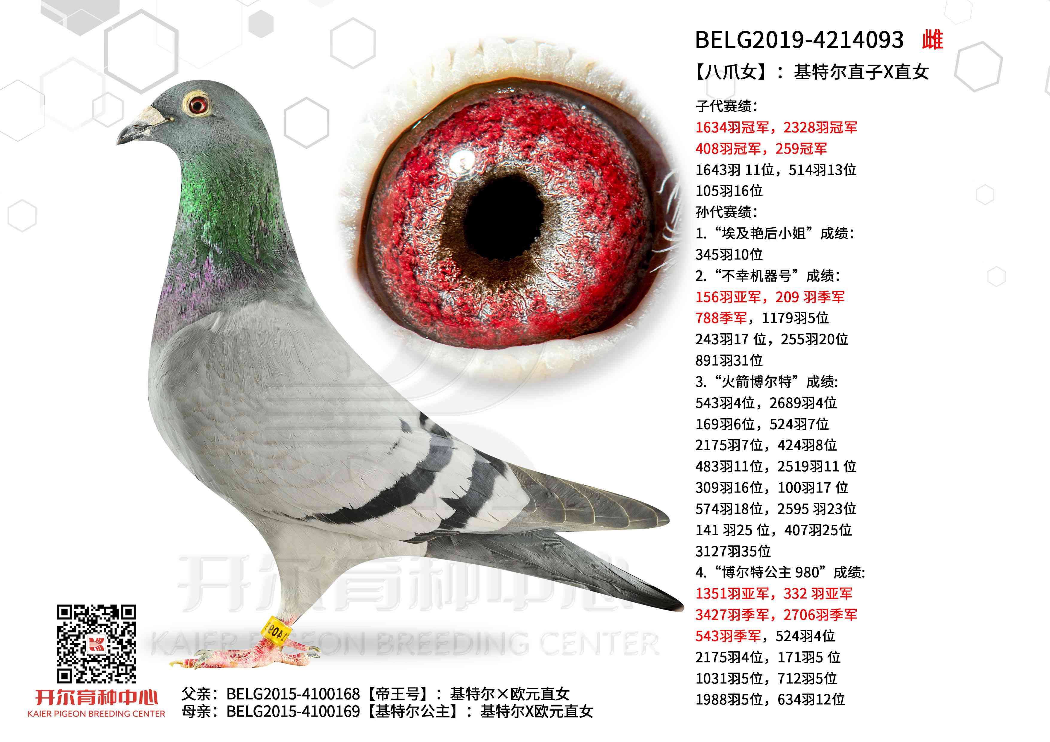 ����צŮ�������ض�ֱ��XֱŮ