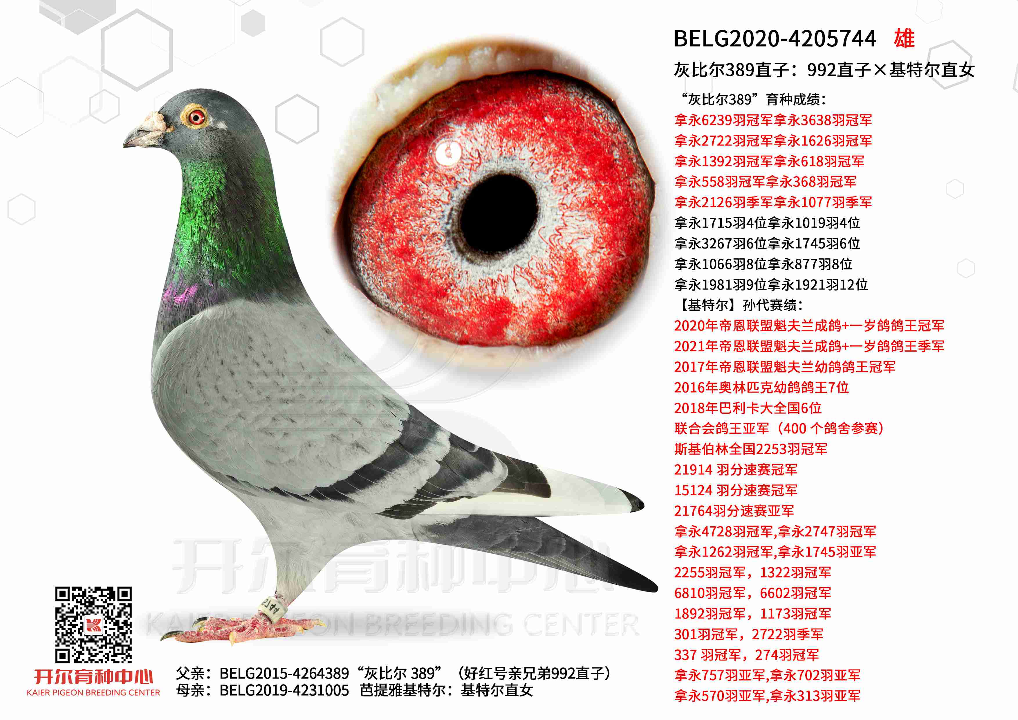 �ұȶ�389ֱ�ӣ�992ֱ�ӡ����ض�ֱŮ