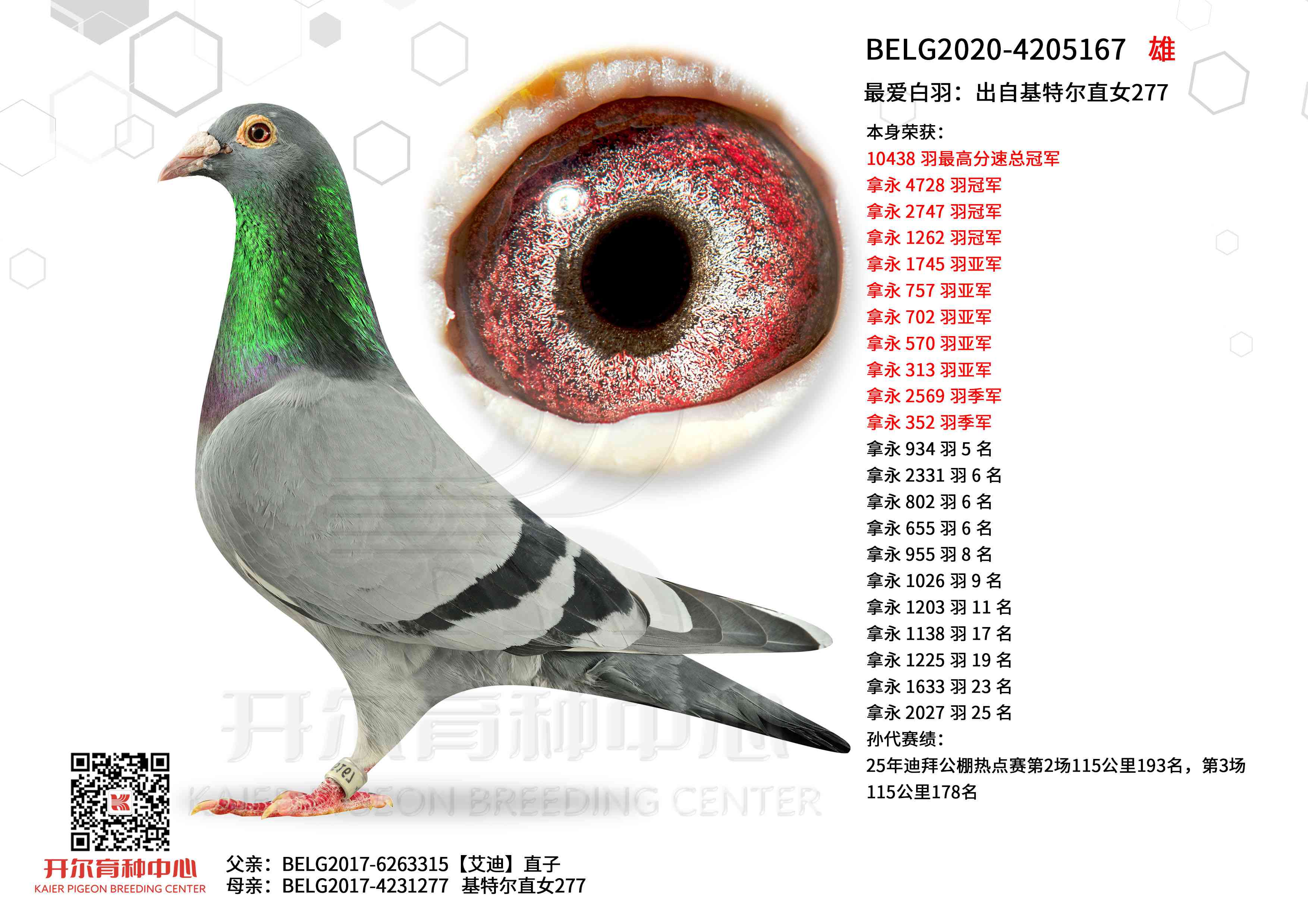 ����𣺳��Ի��ض�ֱŮ277