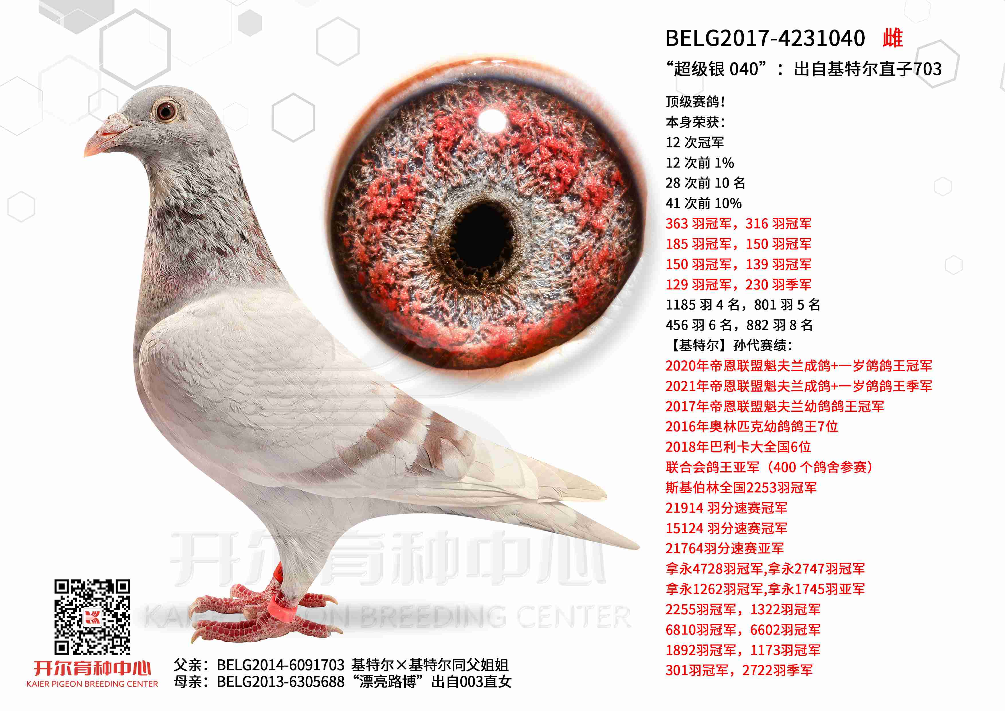 ������ 040�����Ի��ض�ֱ��703