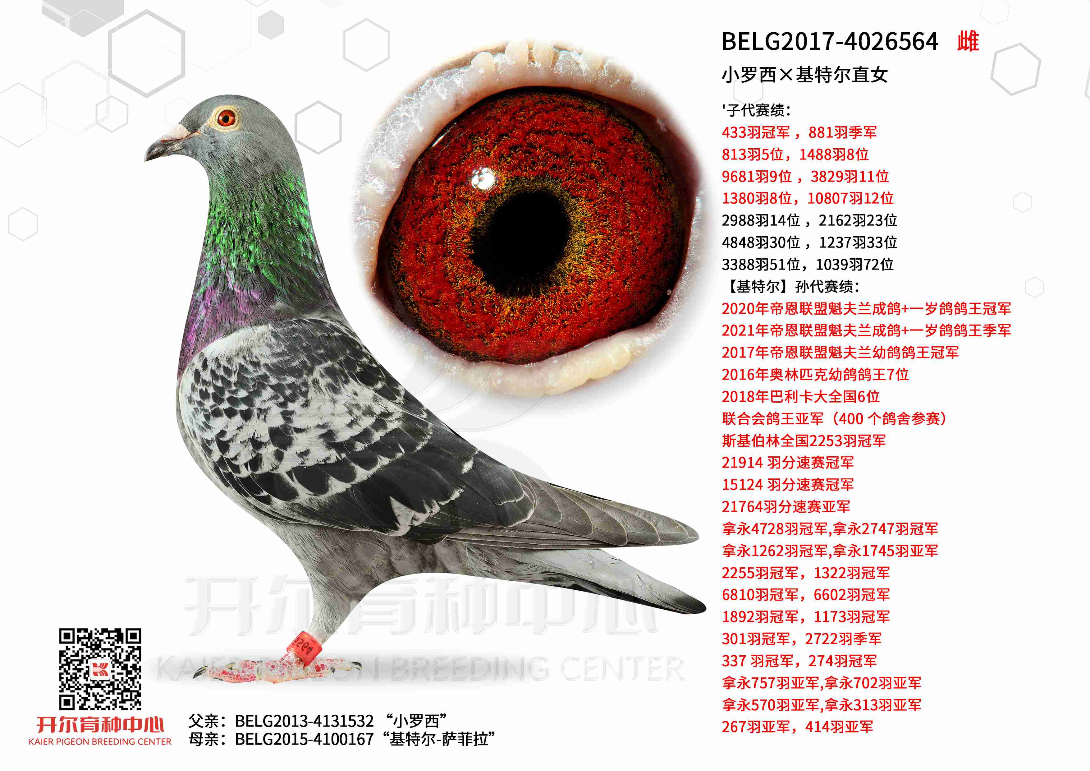 С���������ض�ֱŮ