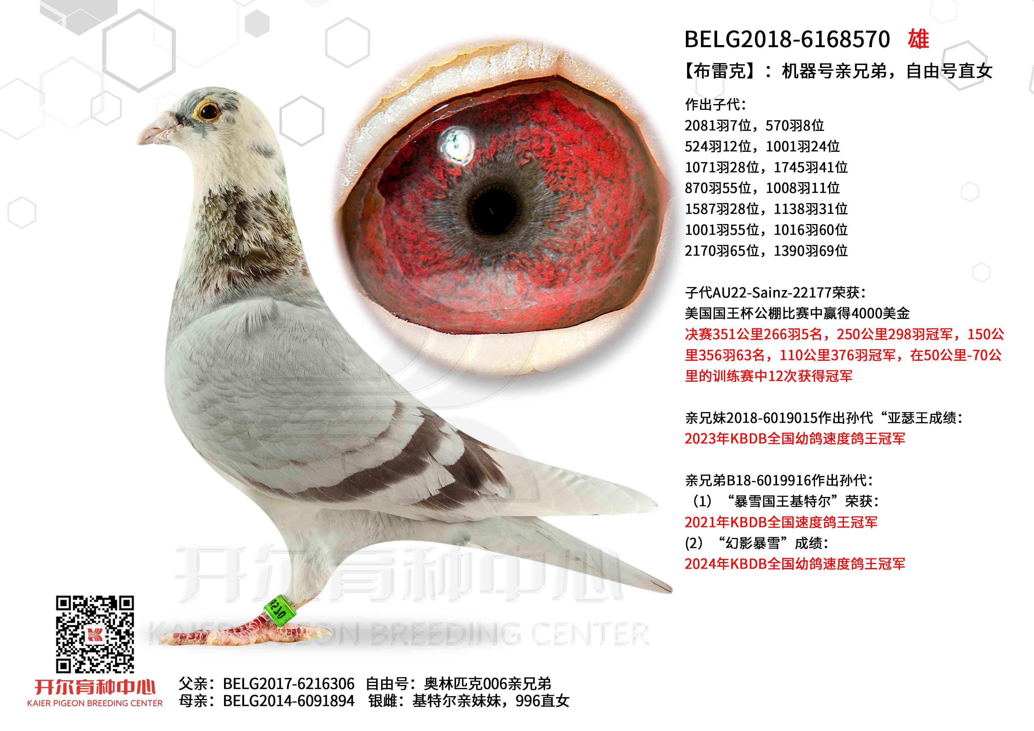 �����׿ˡ������������ֵܣ����ɺ�ֱŮ