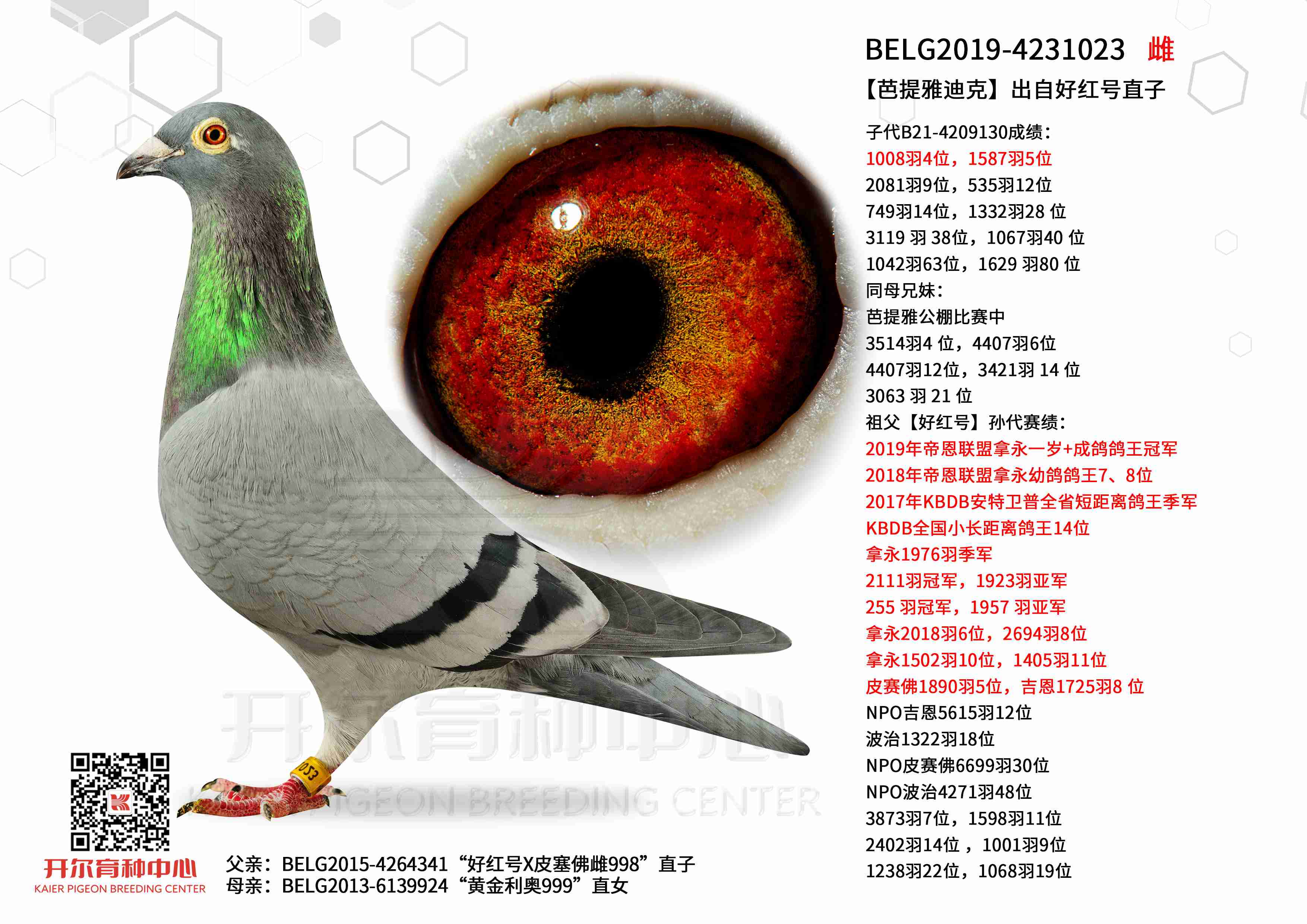 �������ŵϿˡ����Ժú��ֱ��