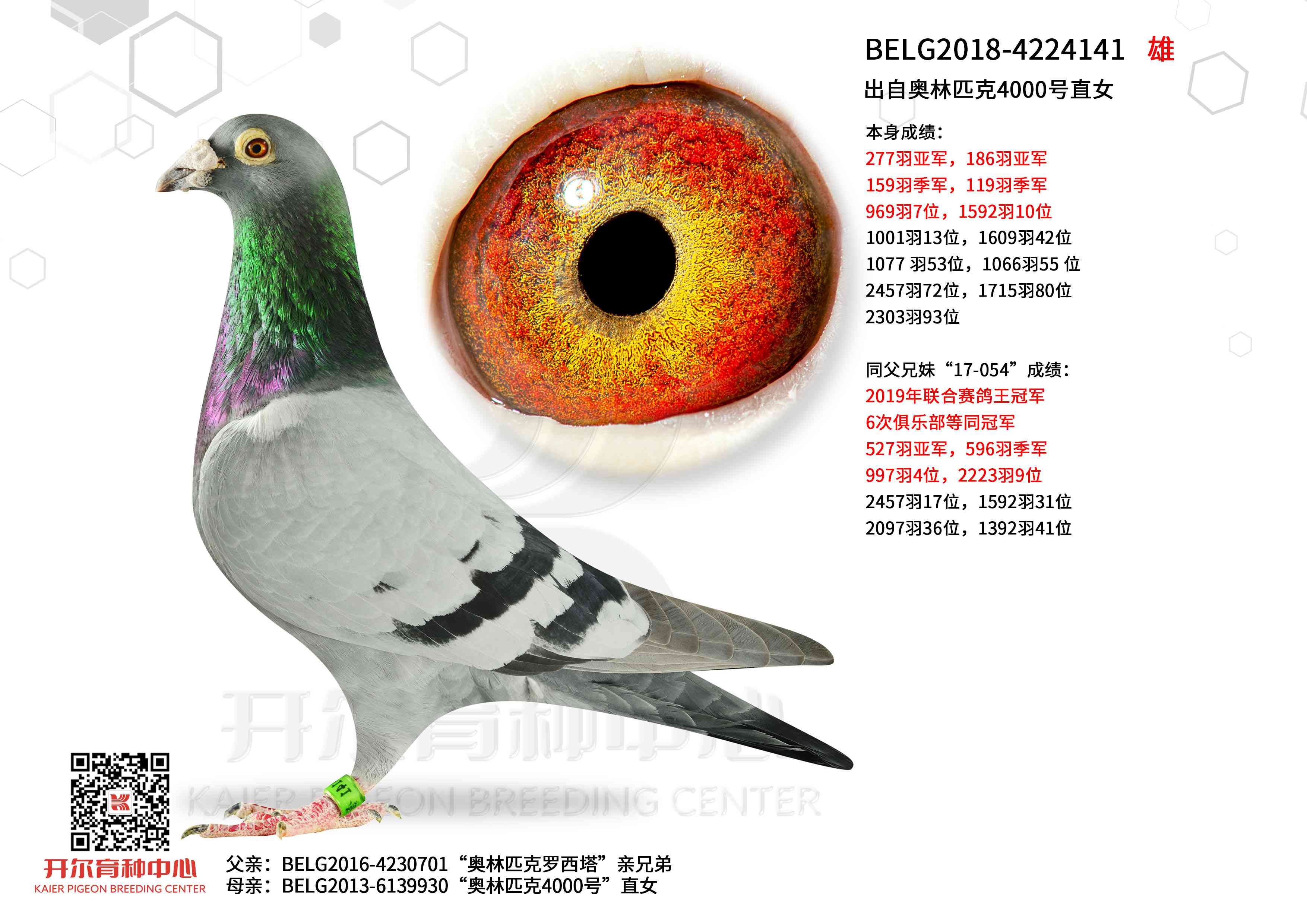 ���԰���ƥ��4000��ֱŮ