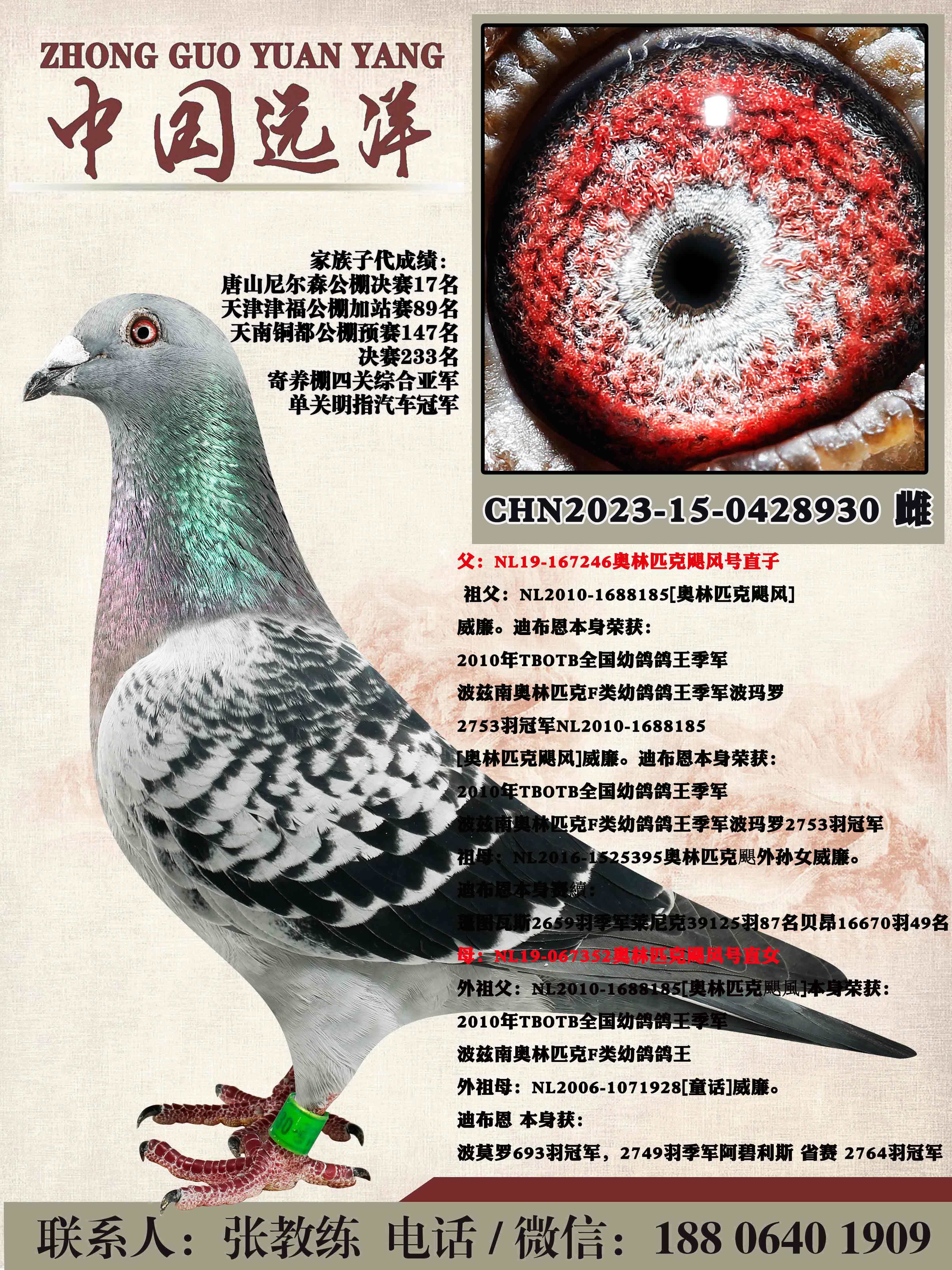 �״�600һֻ��������