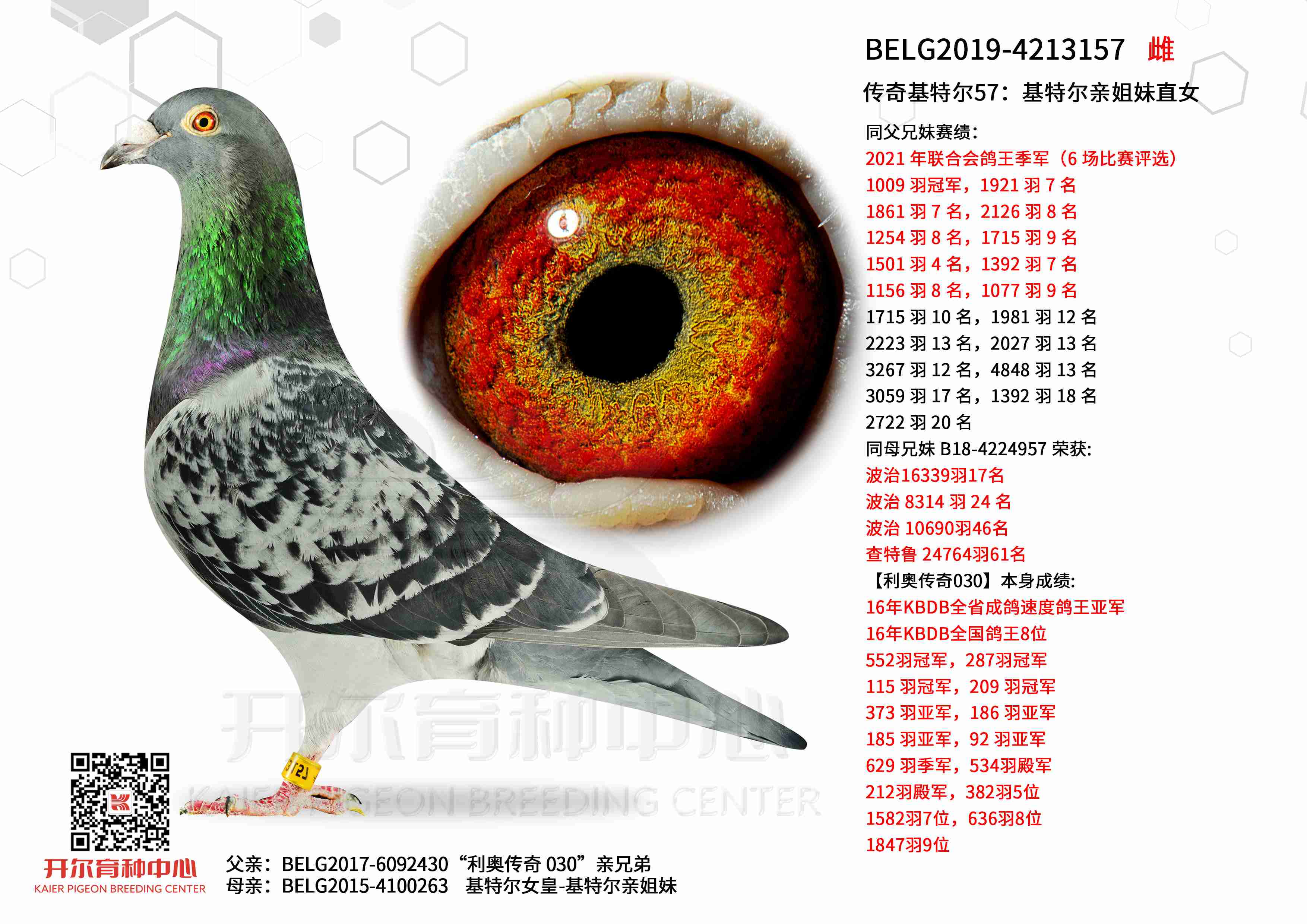 ������ض�57�����ض��׽���ֱŮ