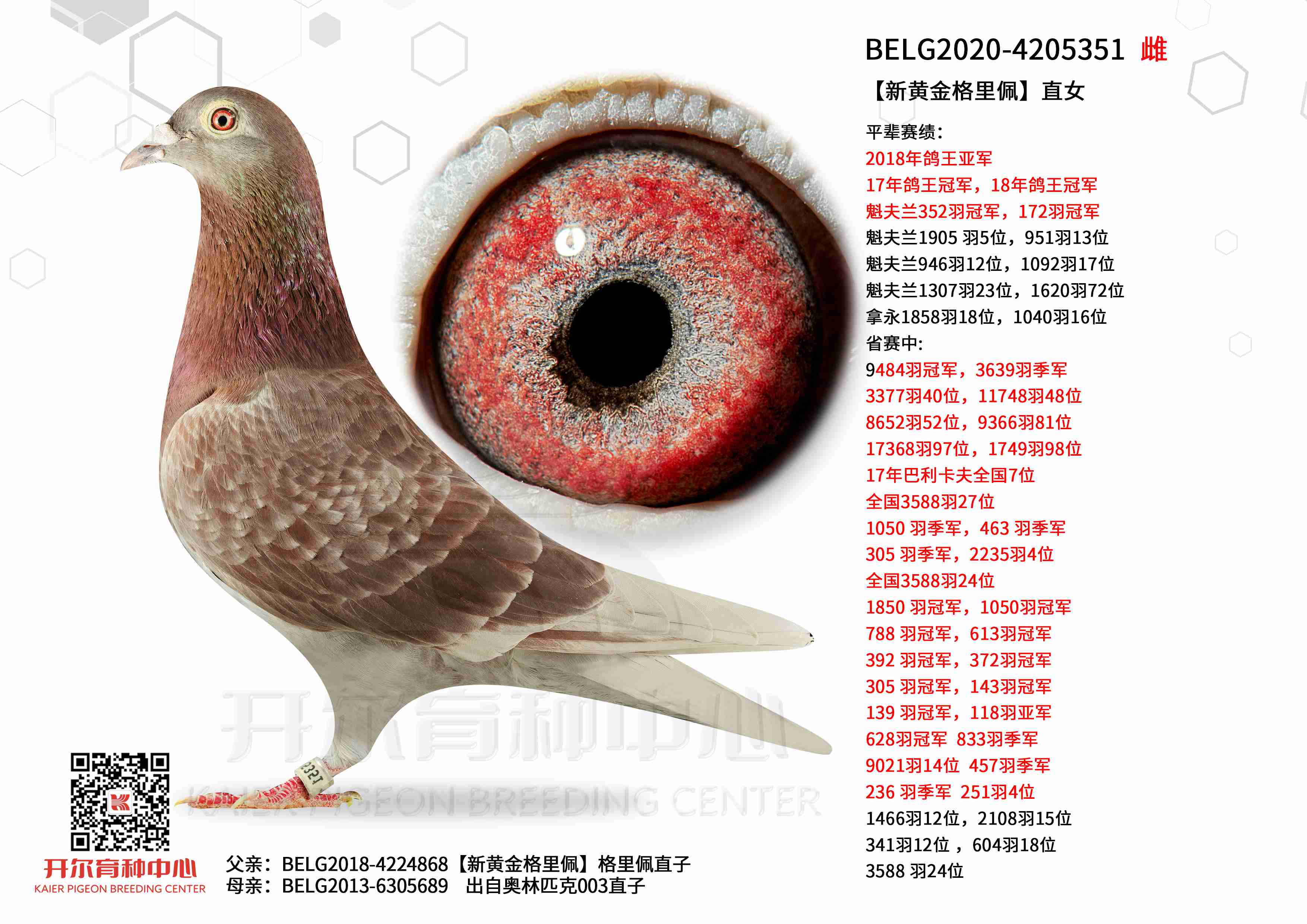 ���»ƽ�����塿ֱŮ