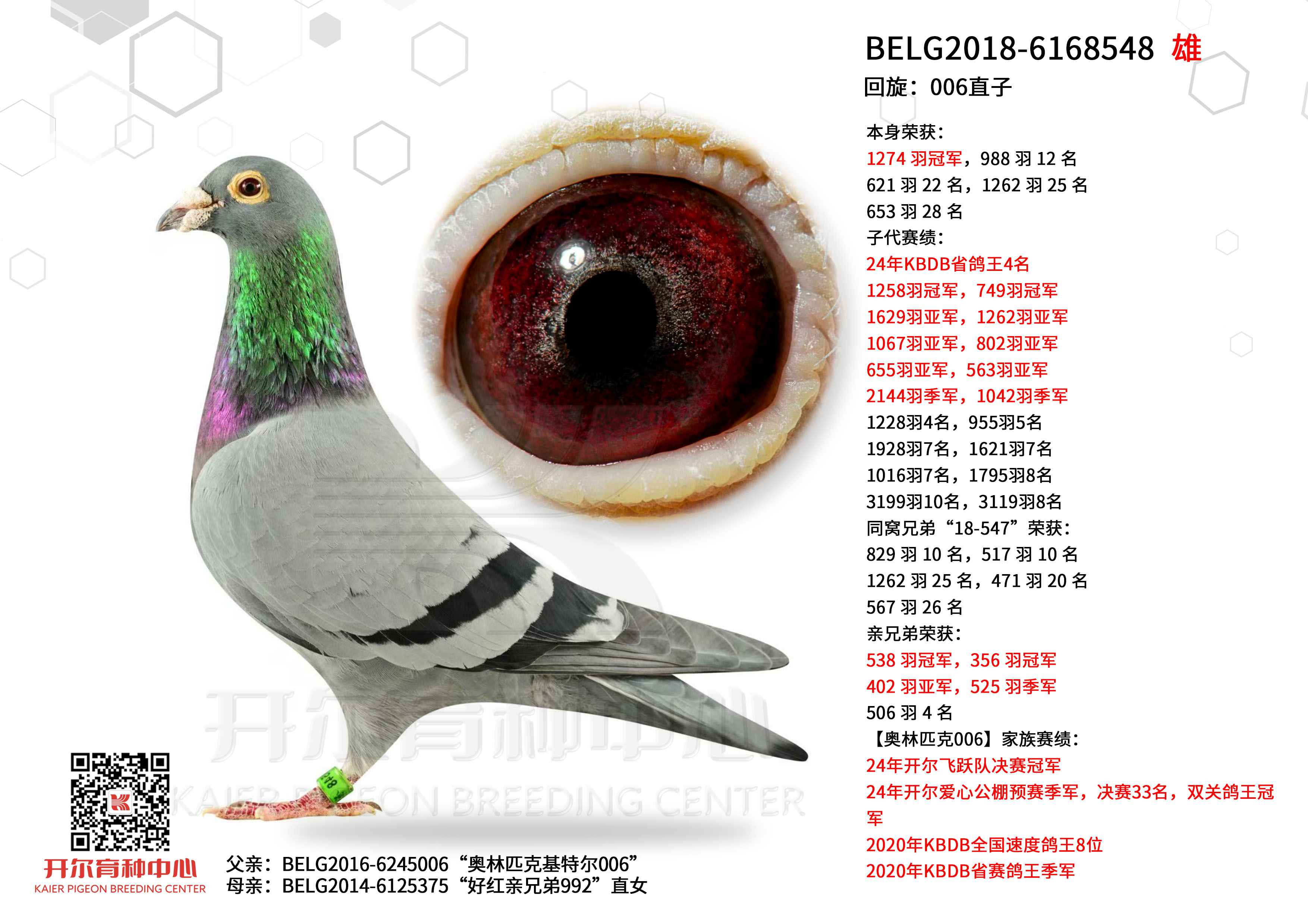 ������006ֱ��