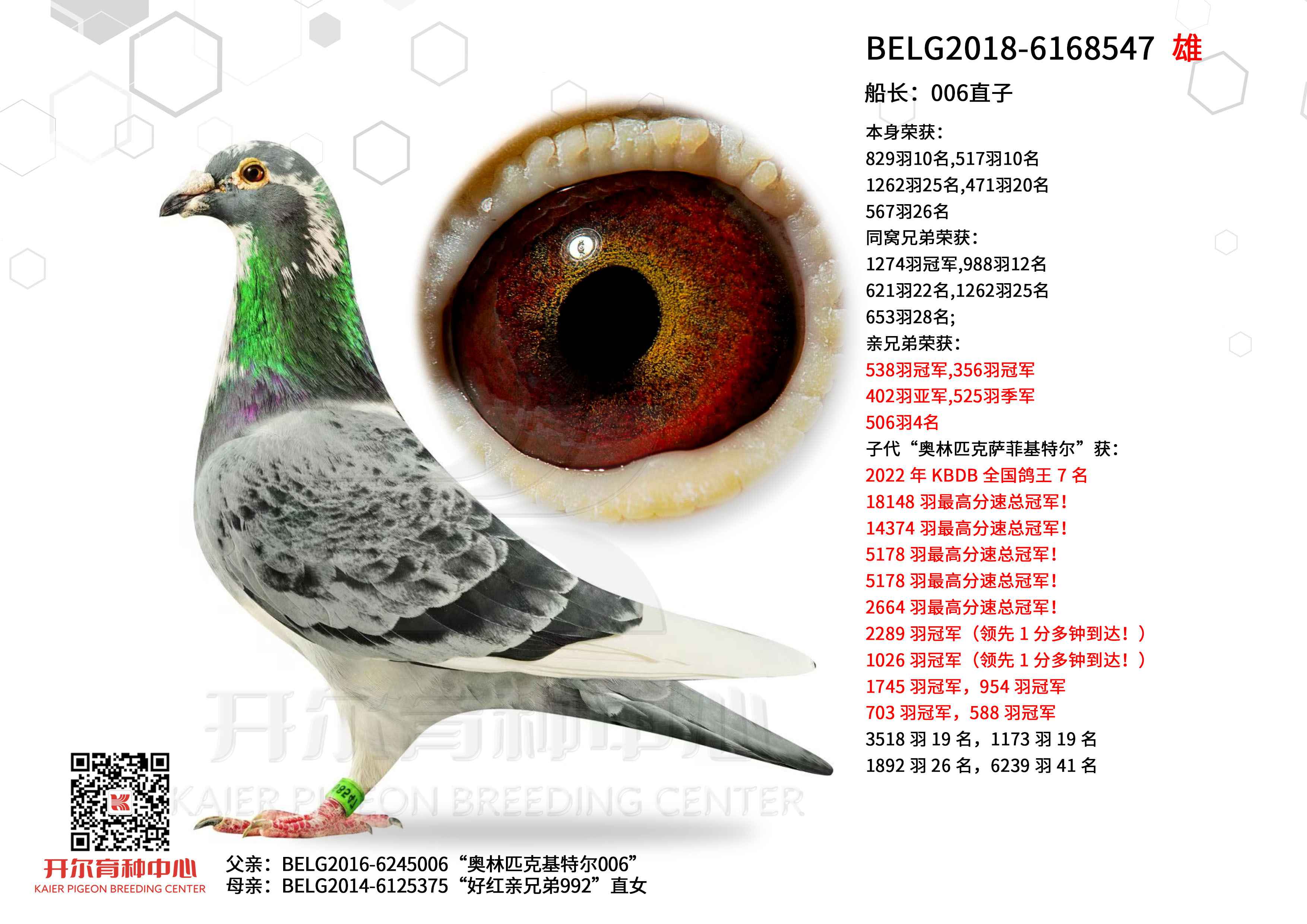 ������006ֱ��