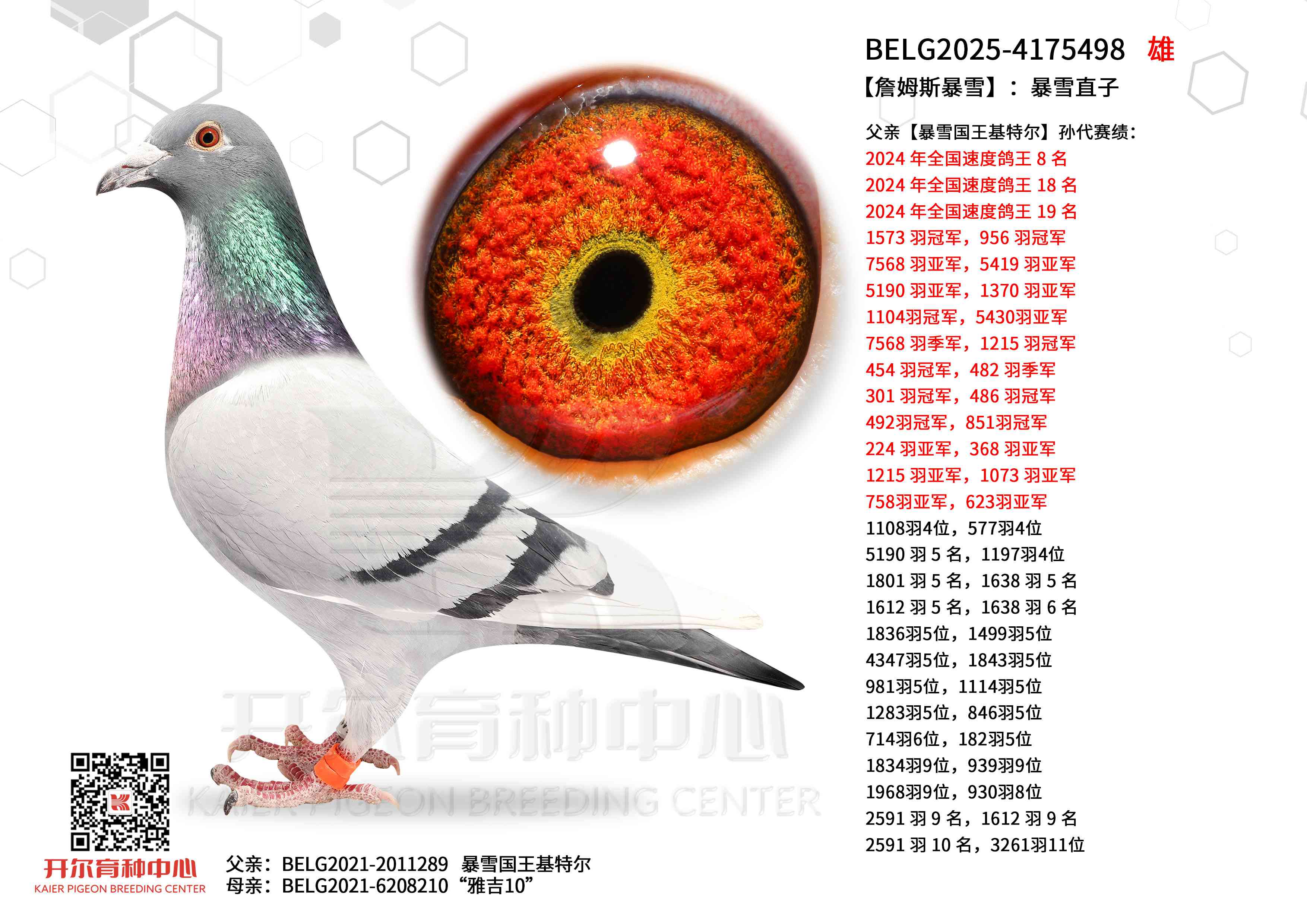 ��ղķ˹��ѩ������ѩֱ��