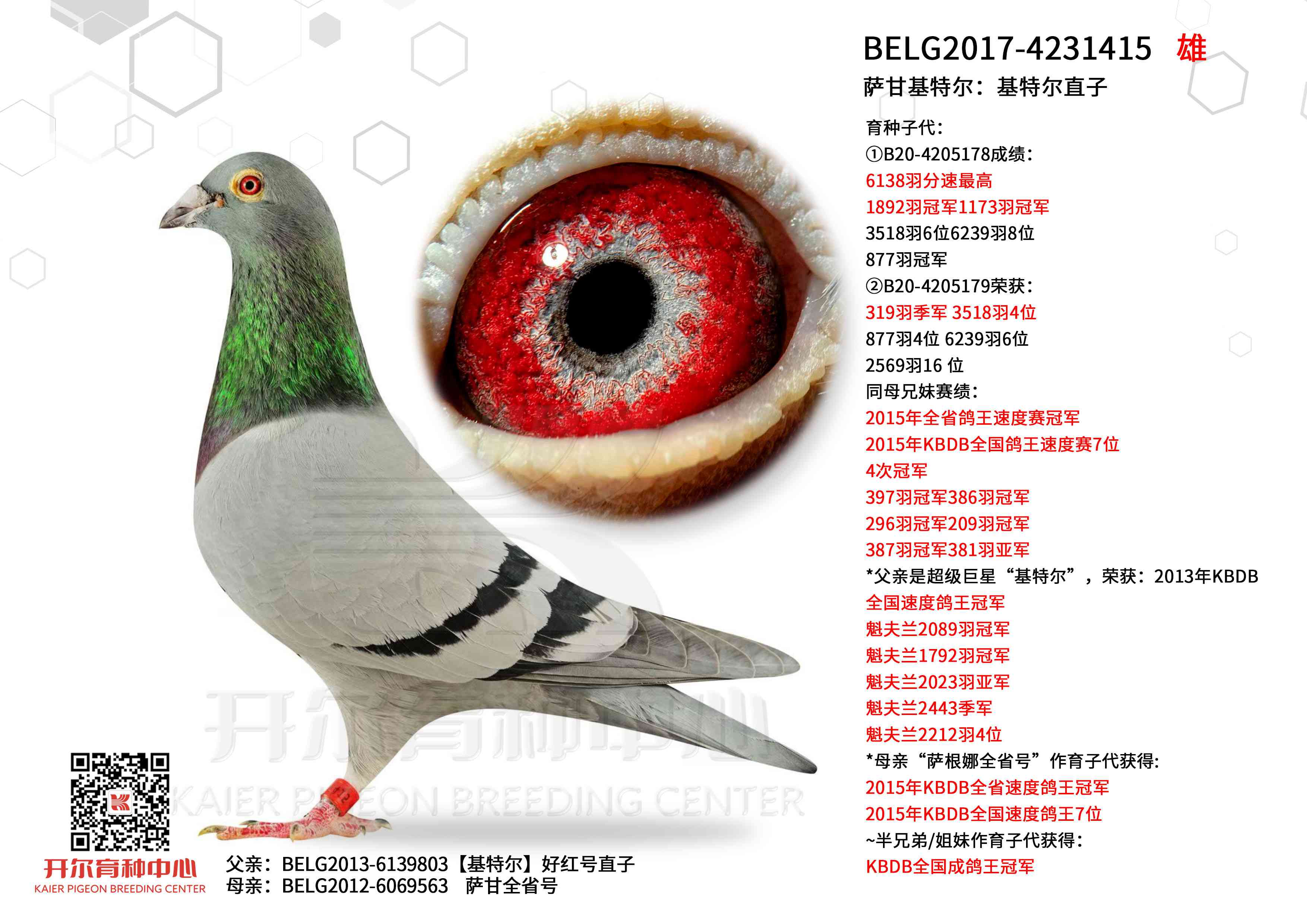 ���ʻ��ض������ض�ֱ��