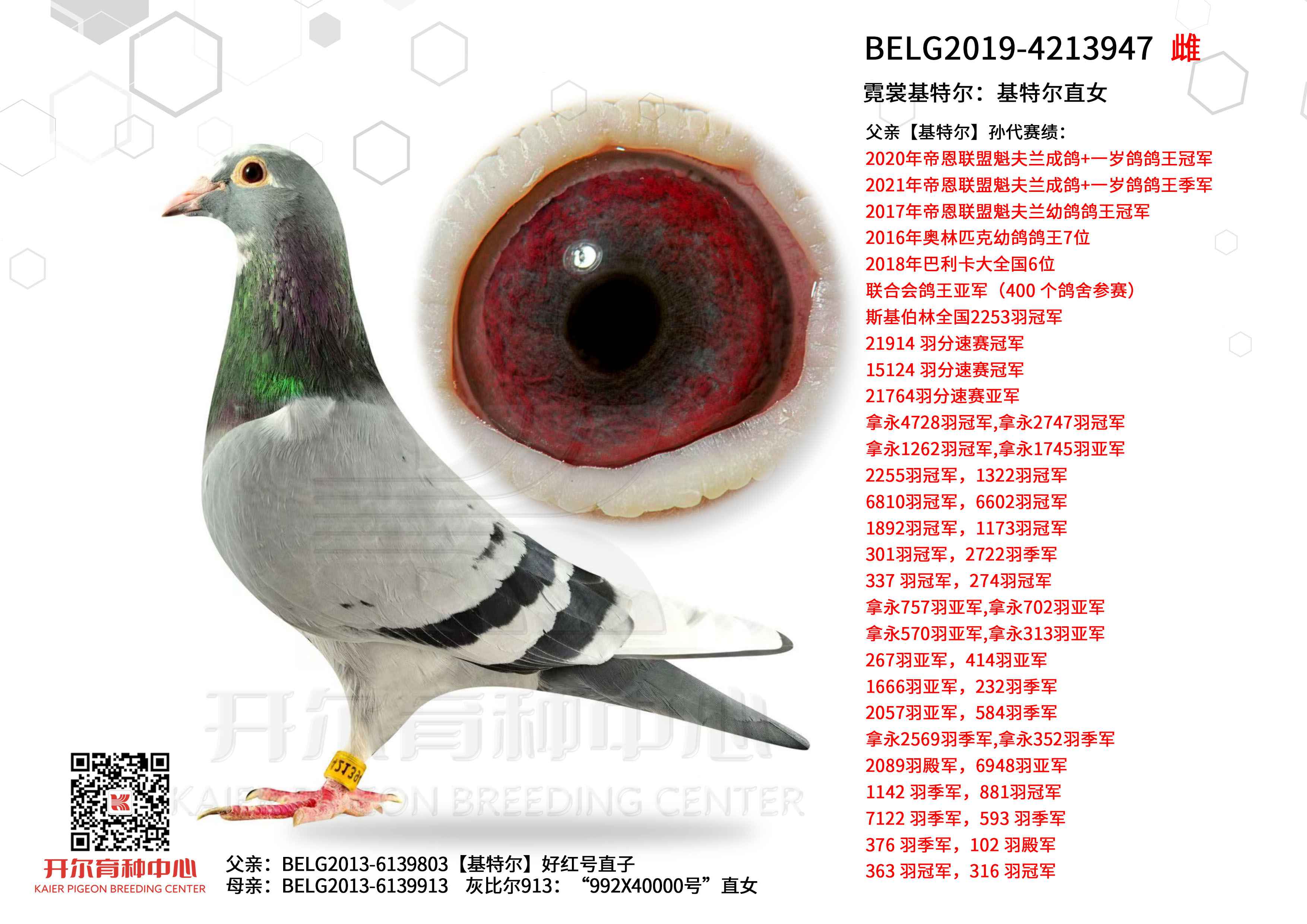 ���ѻ��ض������ض�ֱŮ