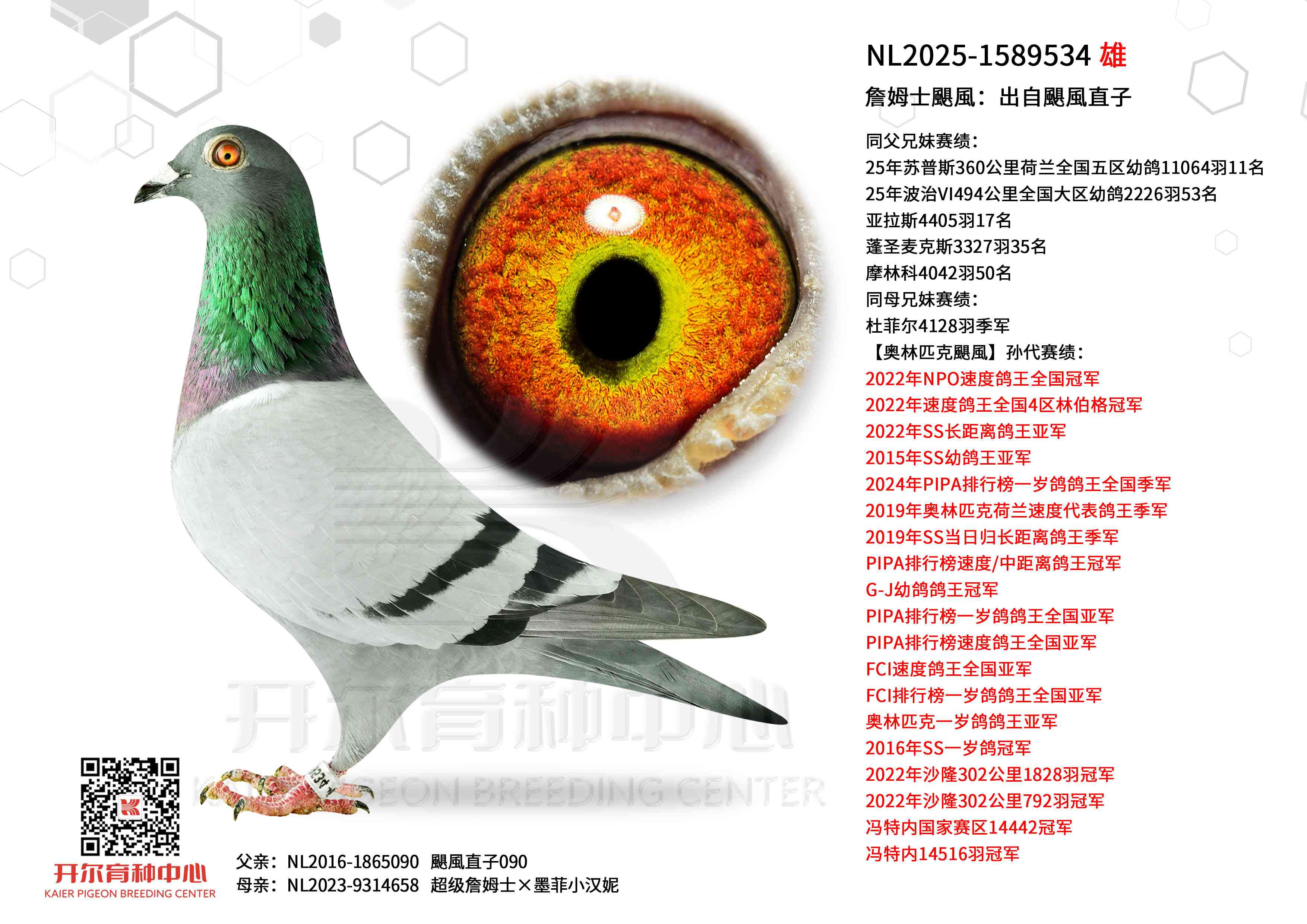 ղķʿ�Z�L�������Z�Lֱ��