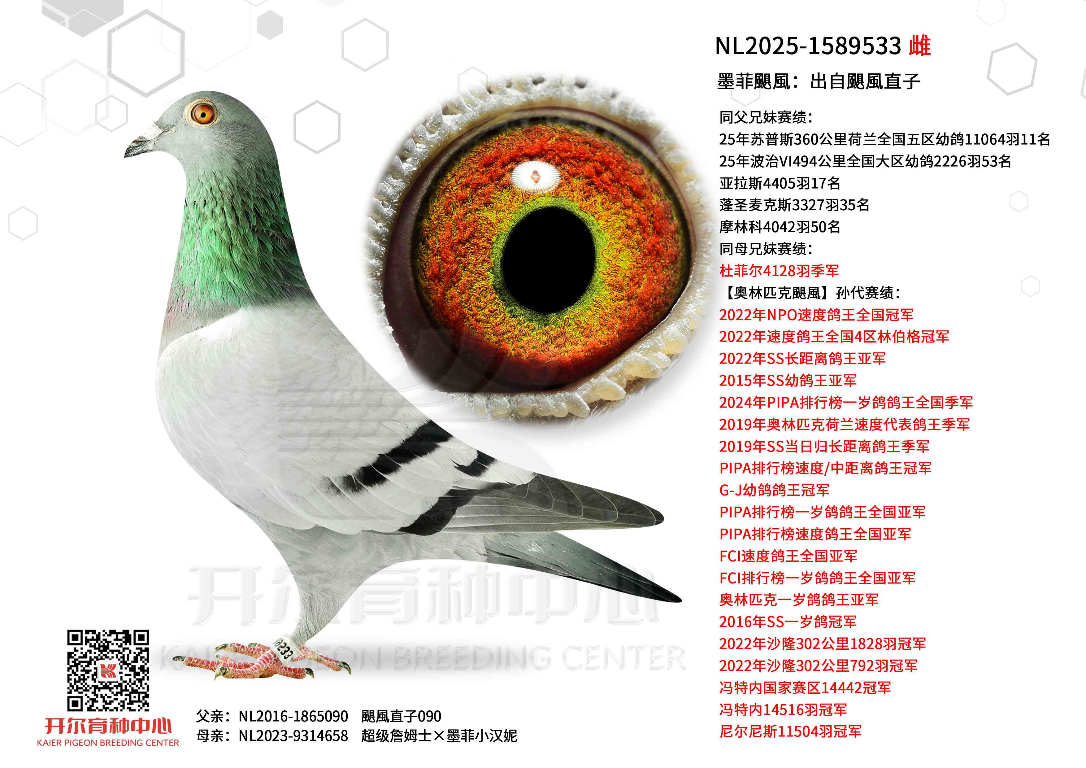 ī���Z�L�������Z�Lֱ��