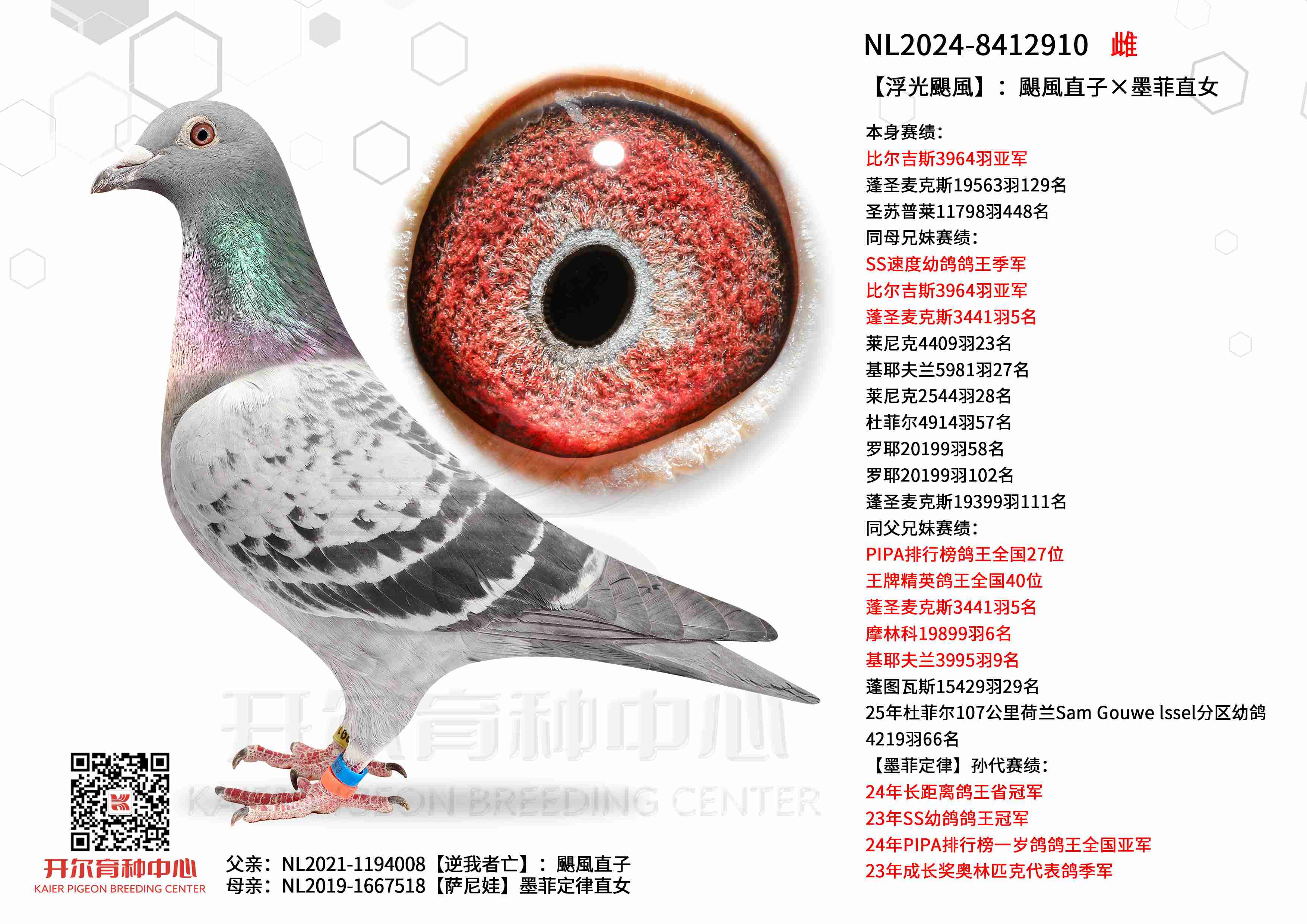 �������Z�L�����Z�Lֱ�ӡ�ī��ֱŮ