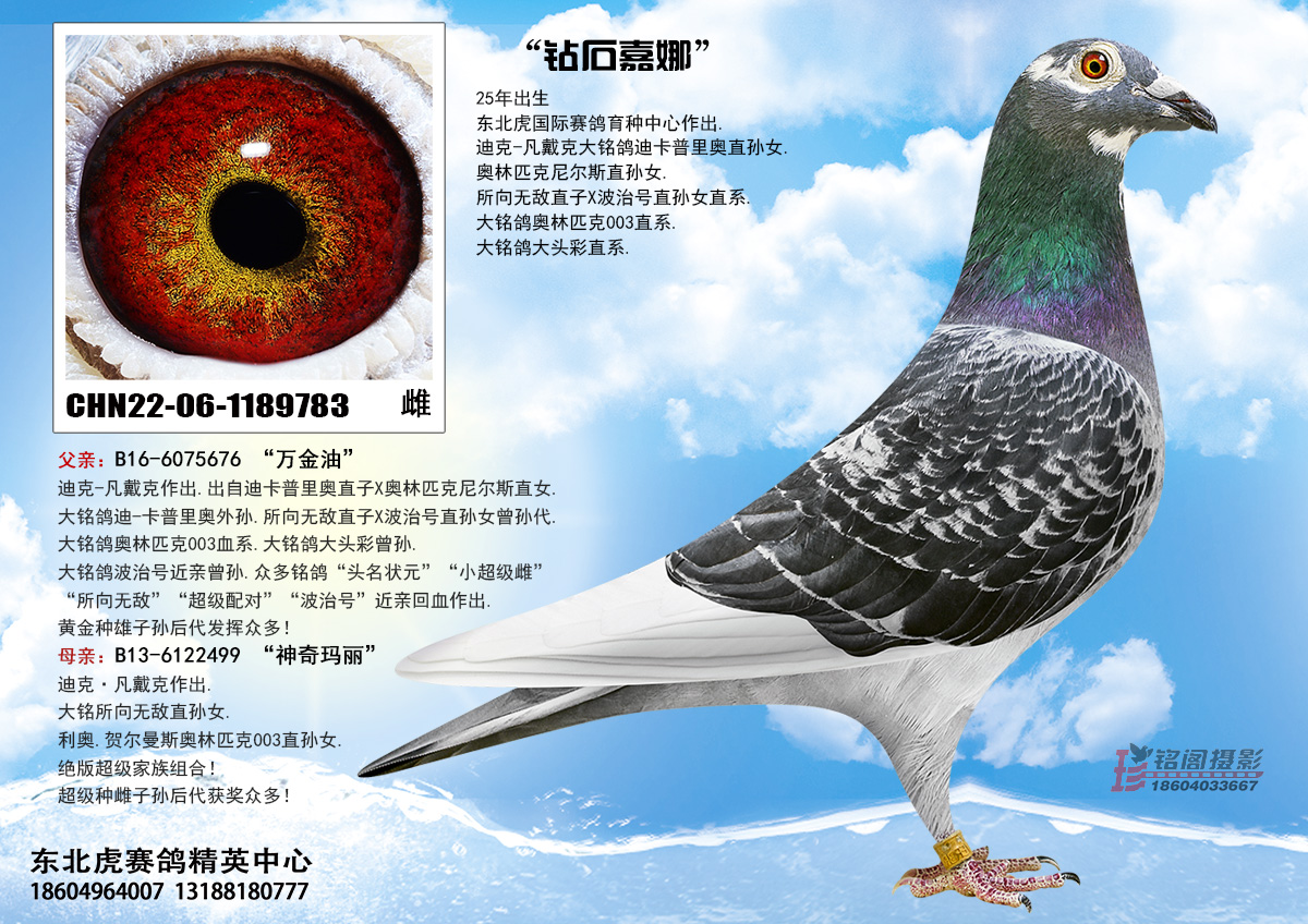 ��ʯ����