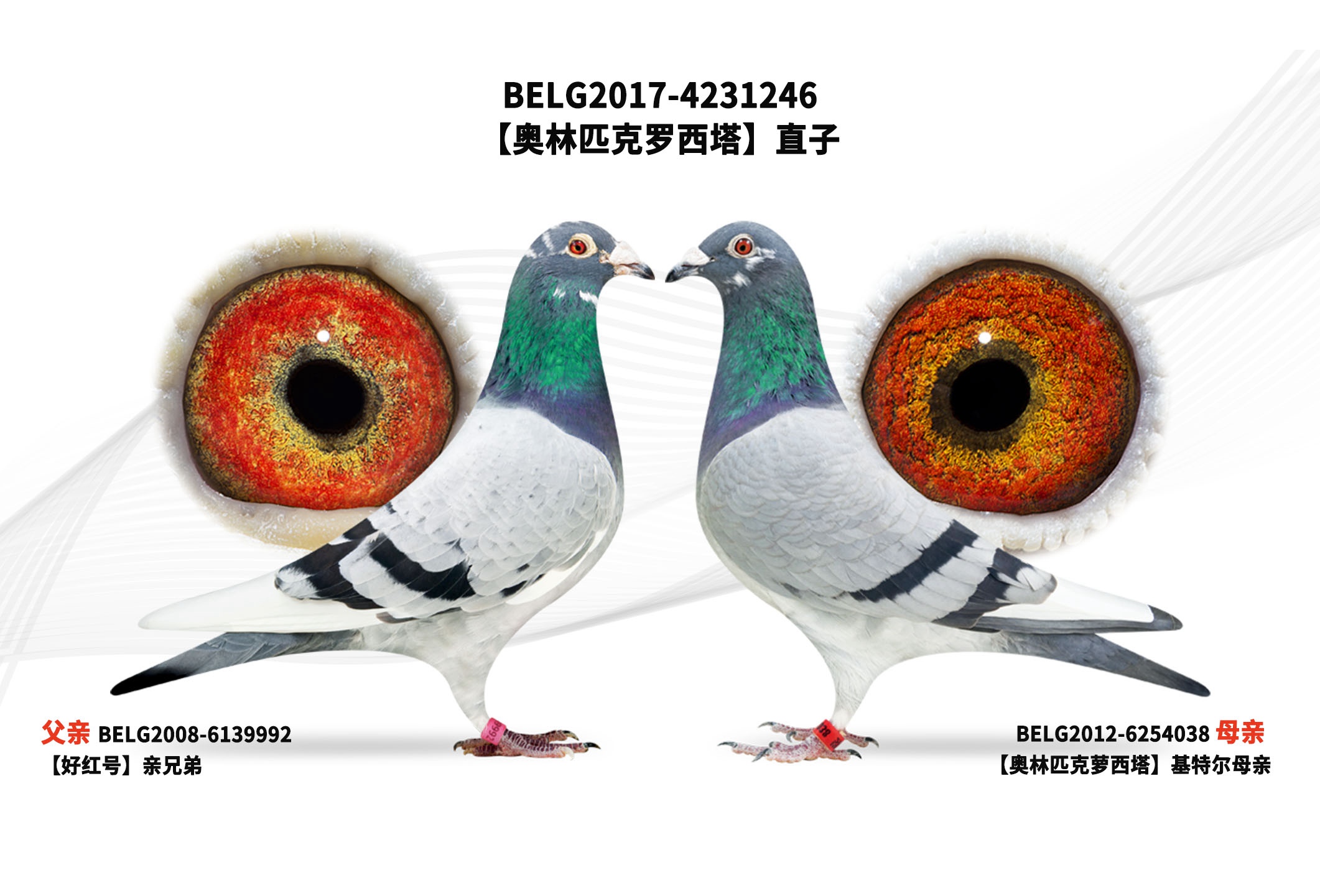 ������ƥ����������ֱ��