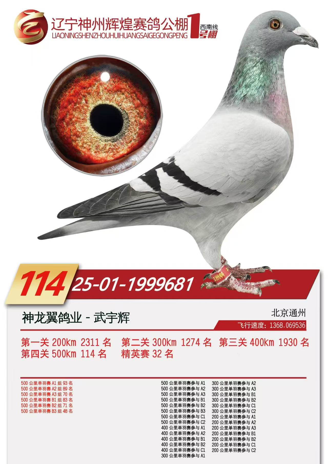 ���ݼ���