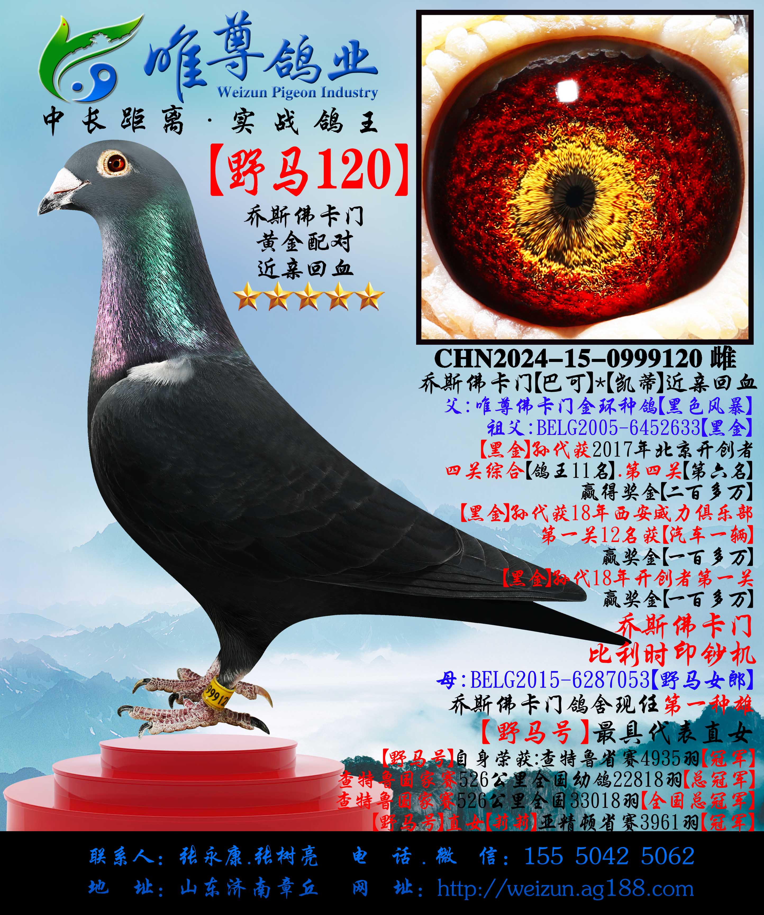 ����˹���š�Ұ��120