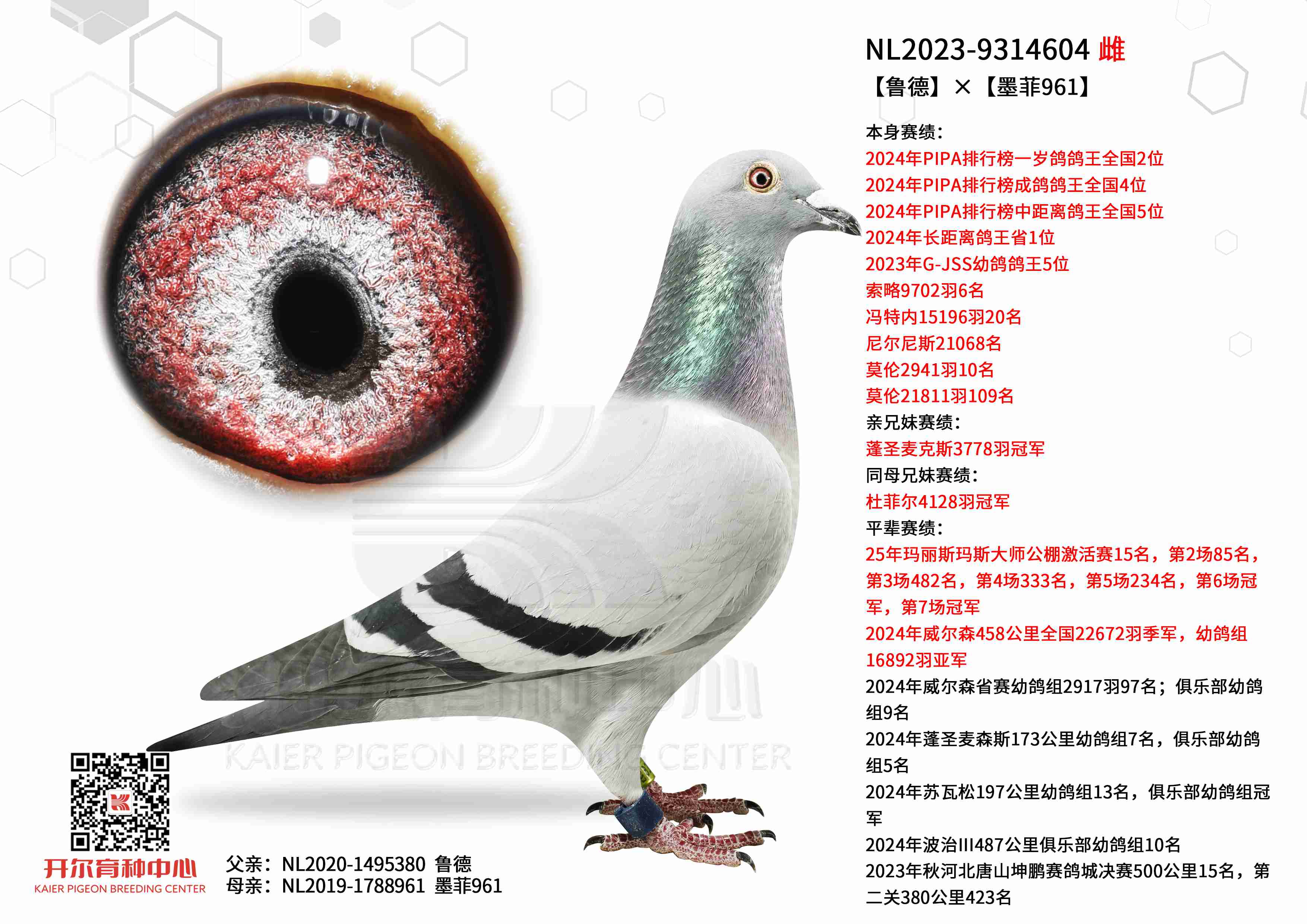 ��³�¡�ī��961��һ������ȫ���Ǿ�