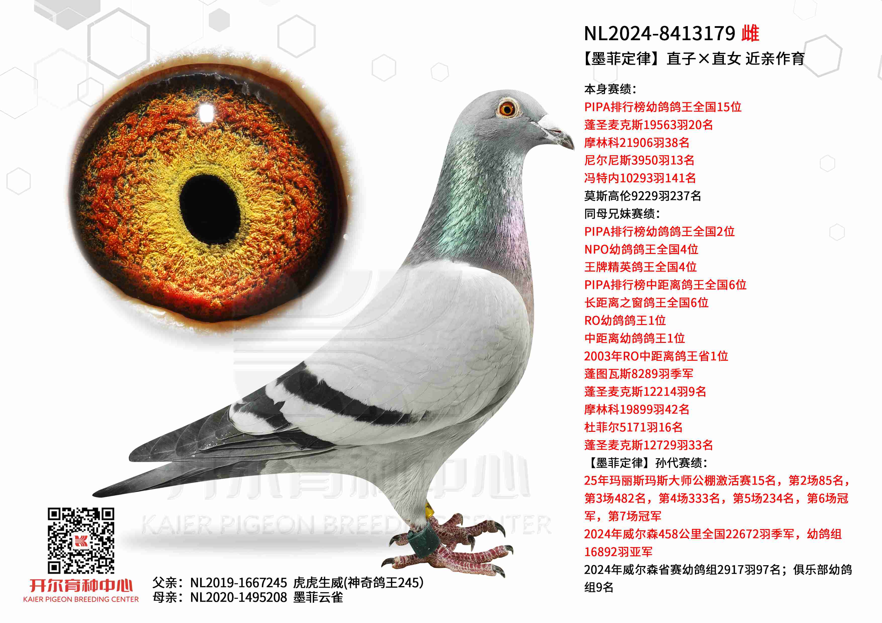 ��ī�ƶ���ֱ�ӡ�ֱŮ���׸����ȫ��15λ