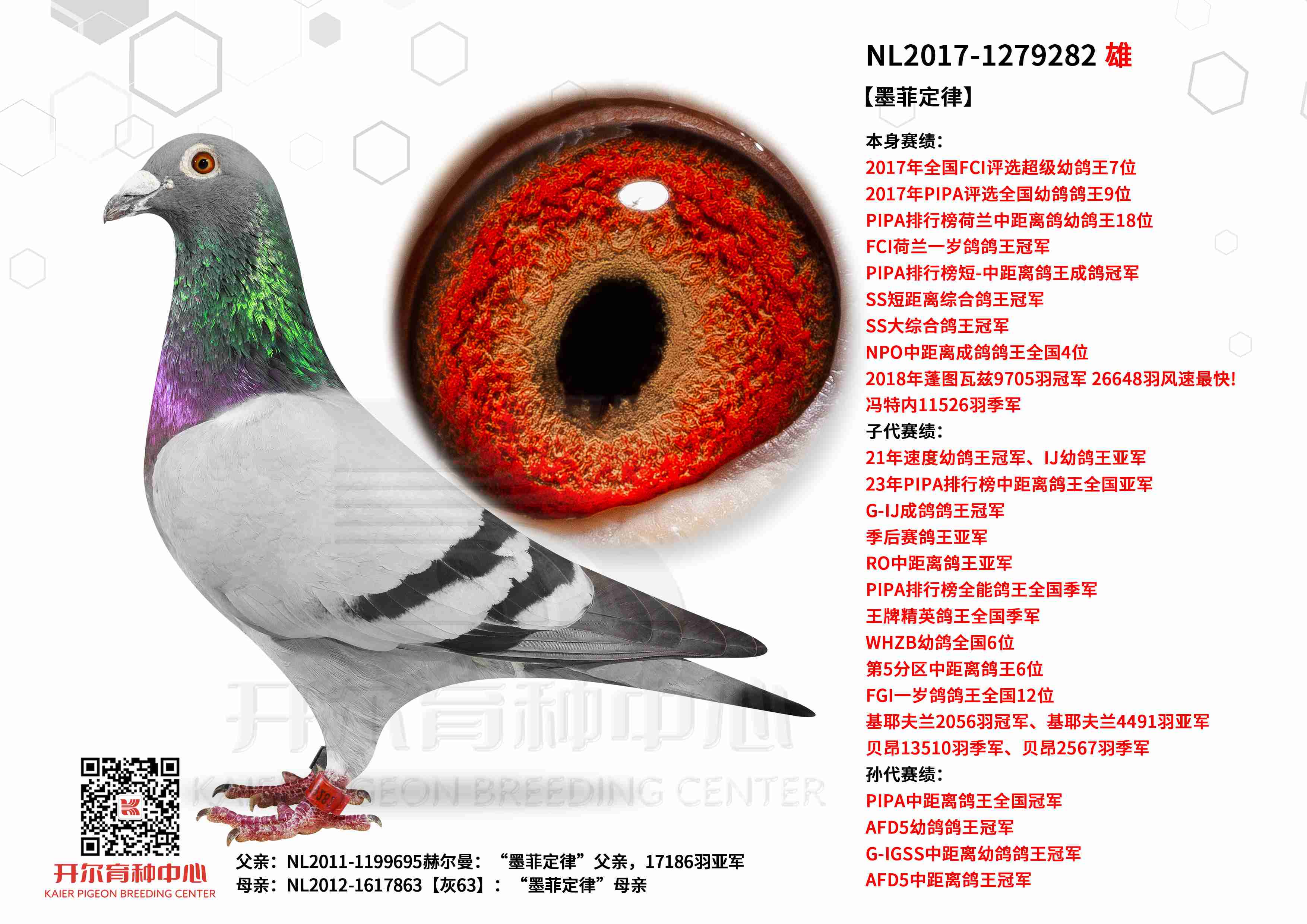 ��ī�ƶ��ɡ�FCI����һ�������ھ�