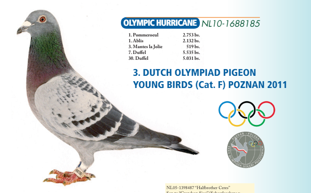 ������ƥ���Z�L������ƥ�˺��������뼾��