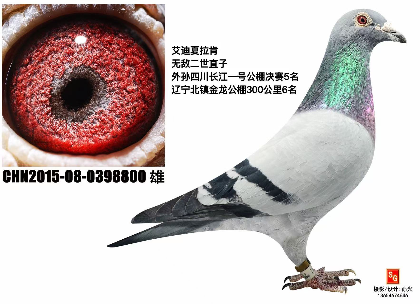 ����ֱ��800