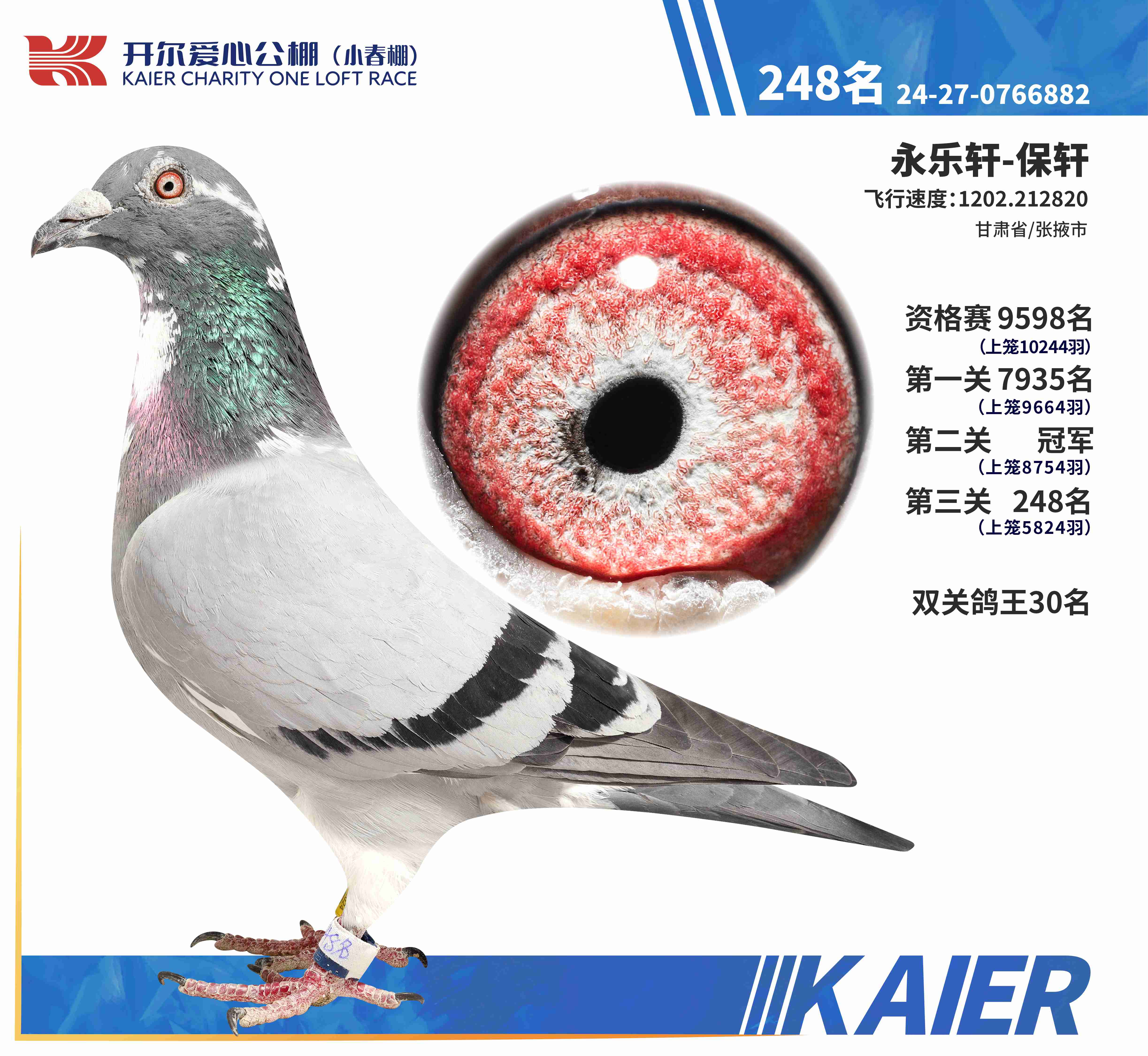 25�꿪��С����Ԥ���ھ�������248��