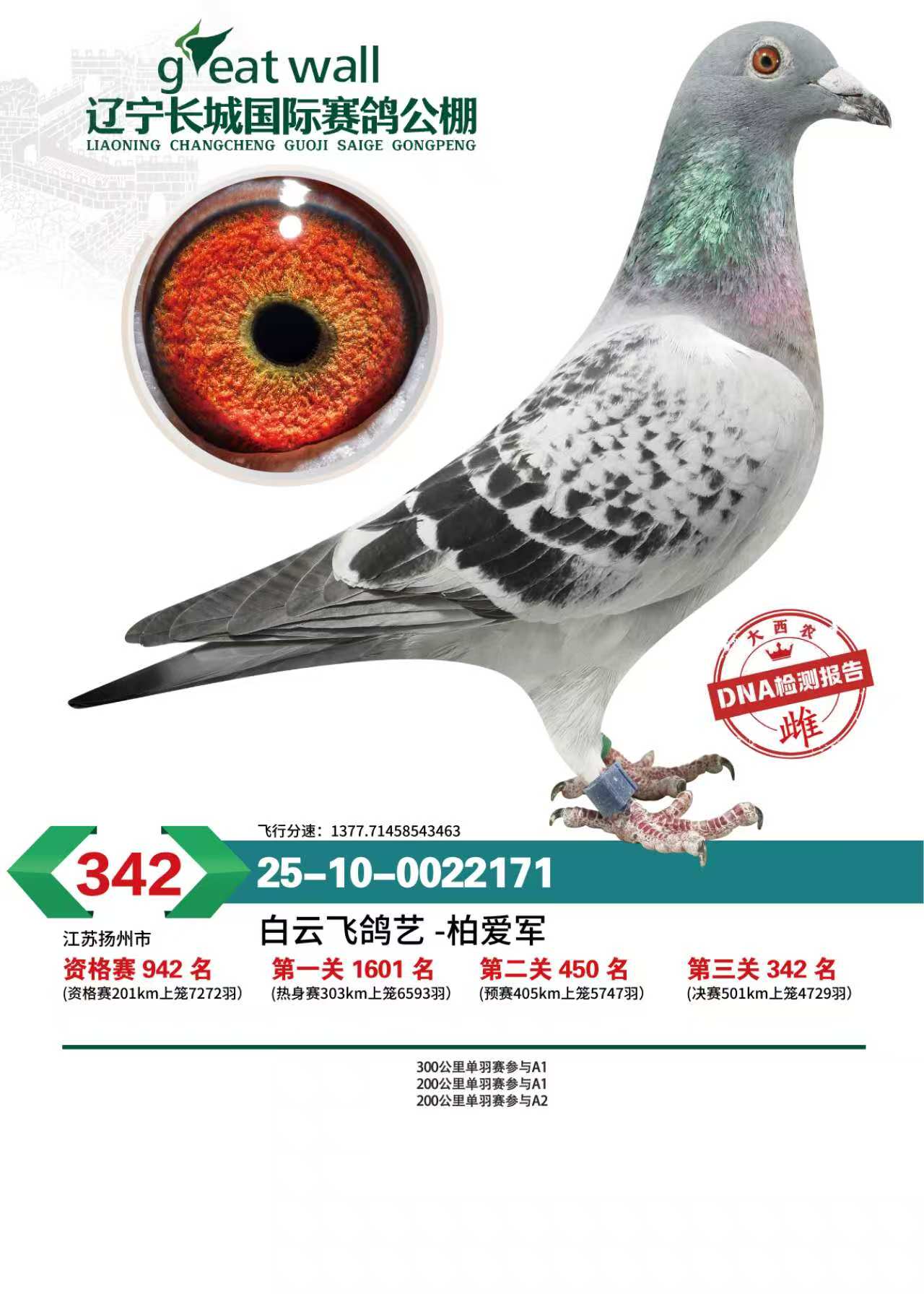 �������ǹ������빫���342��