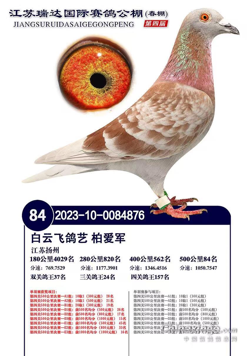 �������������빫�ﴺ���84��