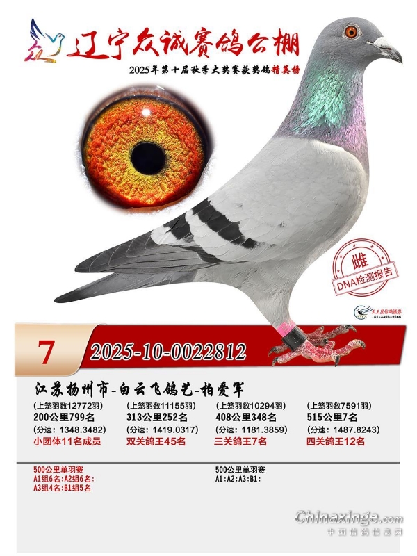 �����ڳ����빫���7��