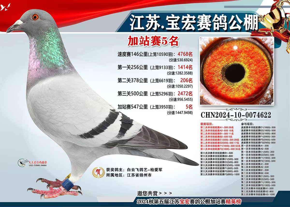 ���ձ������빫���վ��������