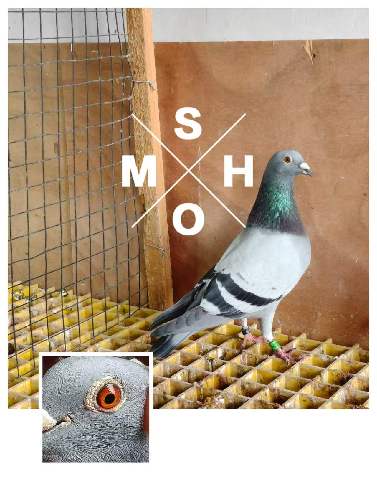 ɣ��ʿ�ڶ���