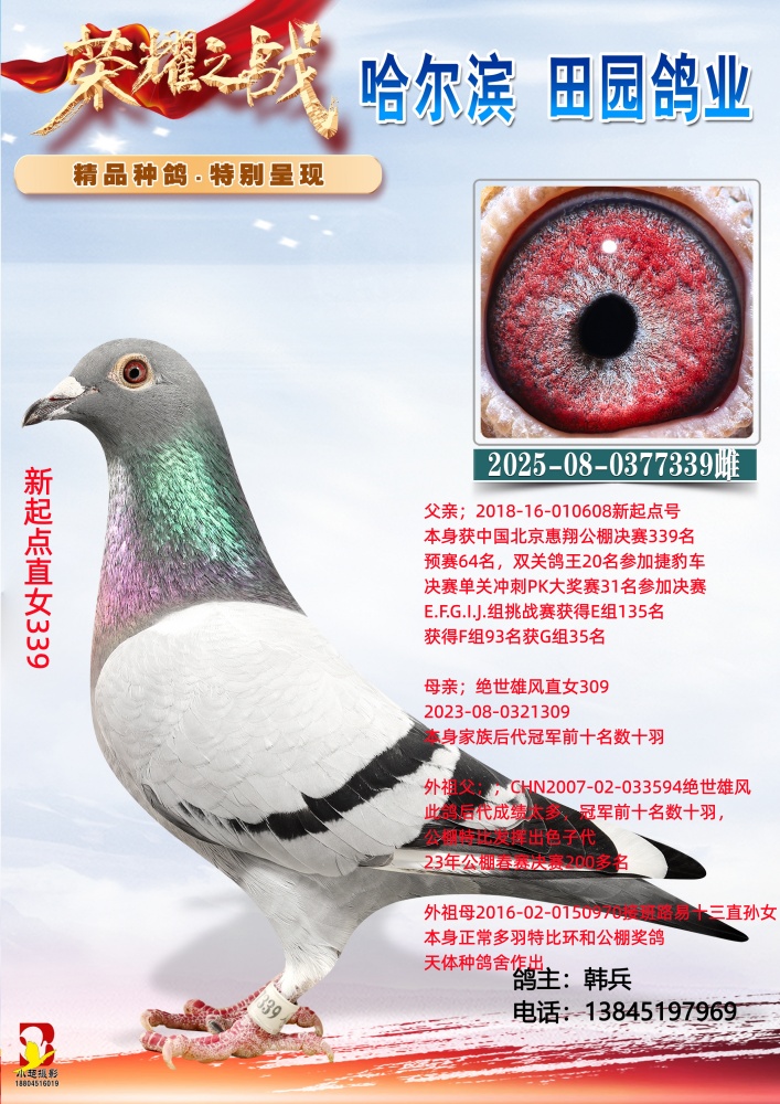 �����ֱŮ339