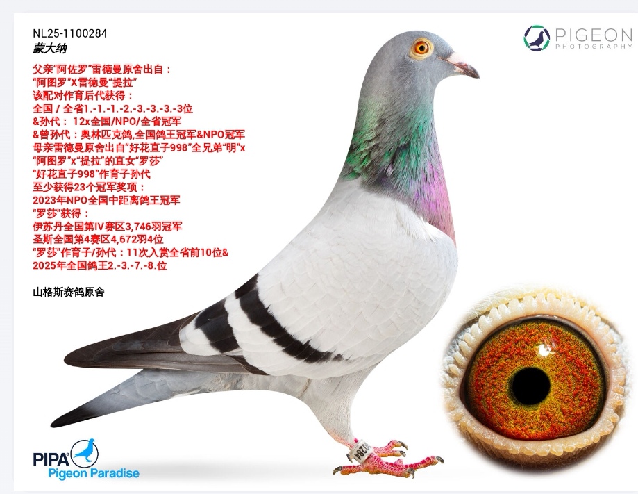 ��ͼ������