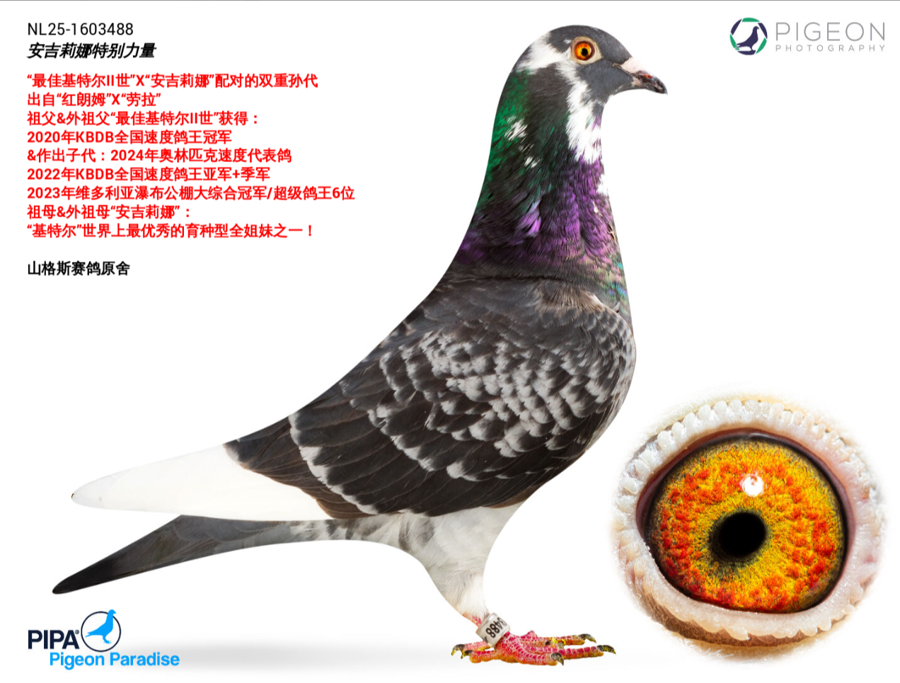 ��Ѱ�������