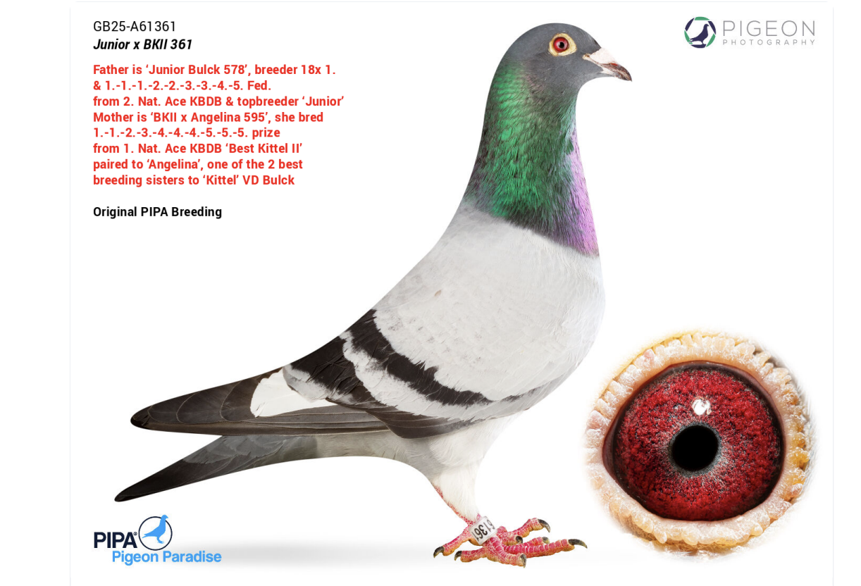 ��л��ض�II��