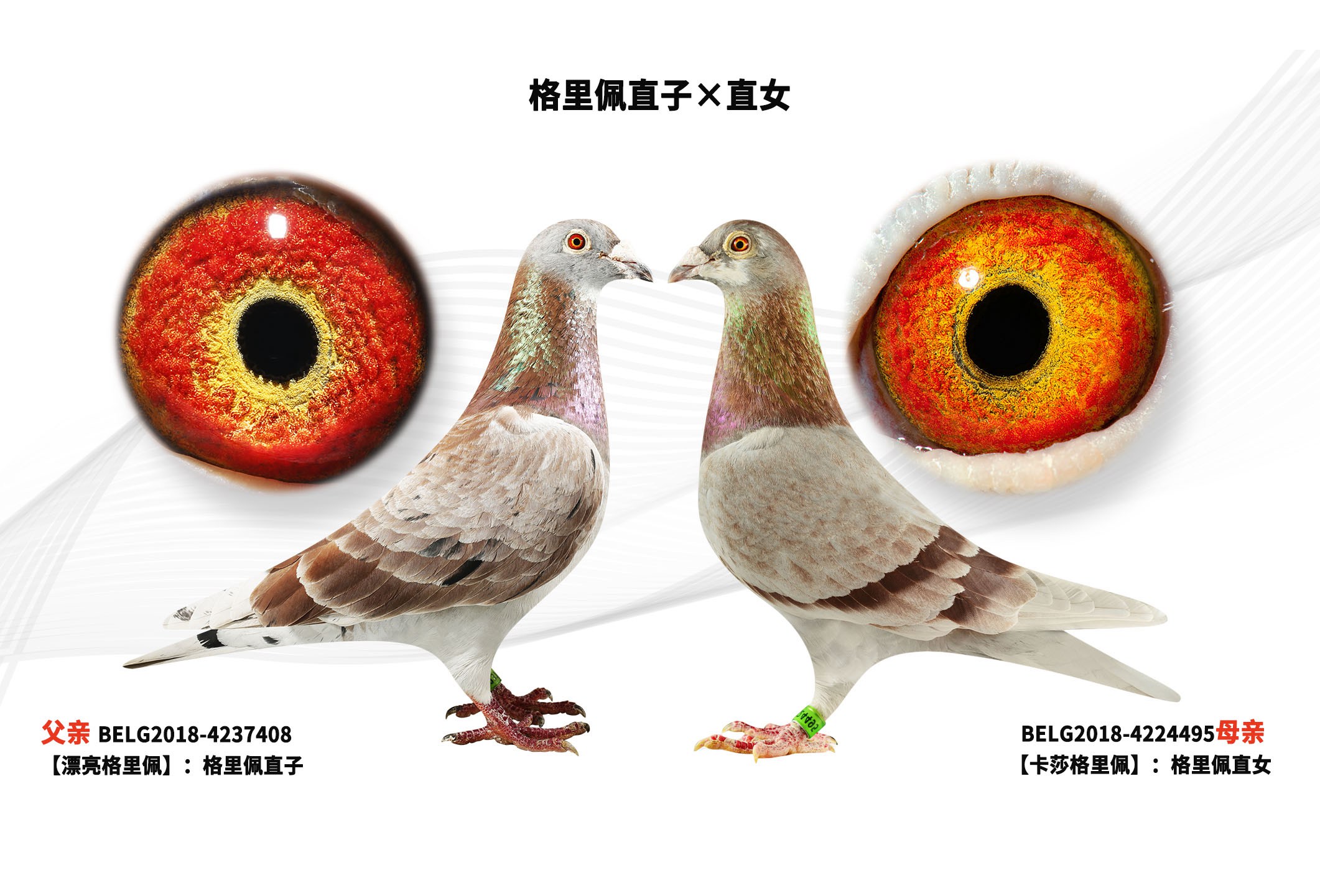 ������ֱ�ӡ�ֱŮ