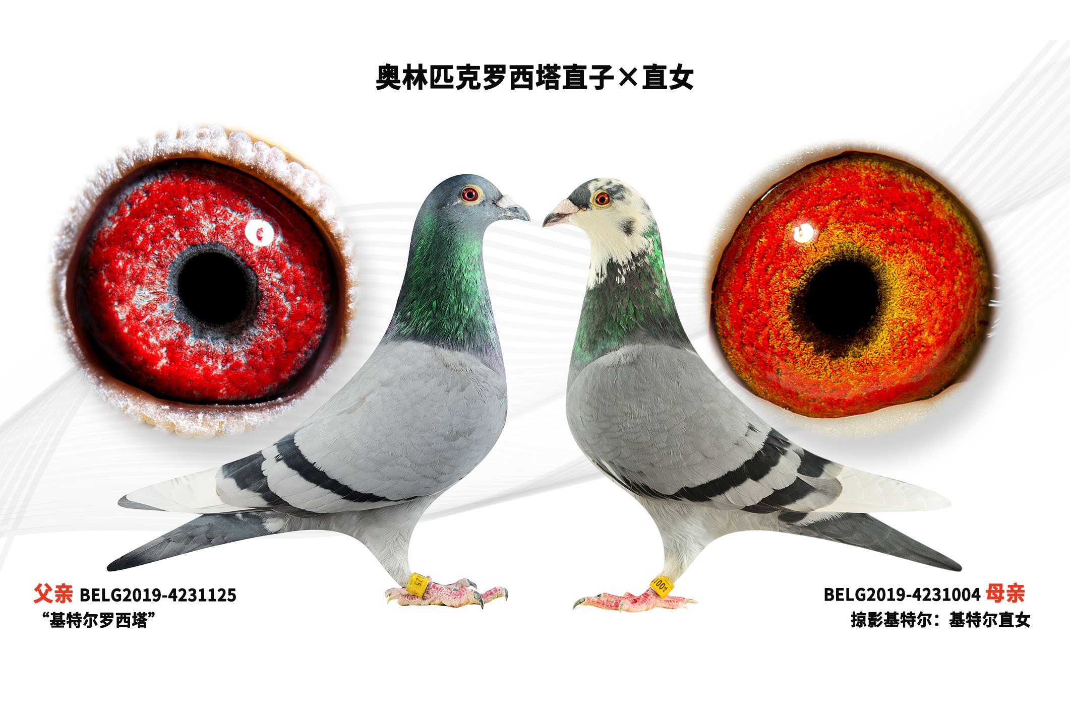 ����ƥ��������ֱ�ӡ�ֱŮ