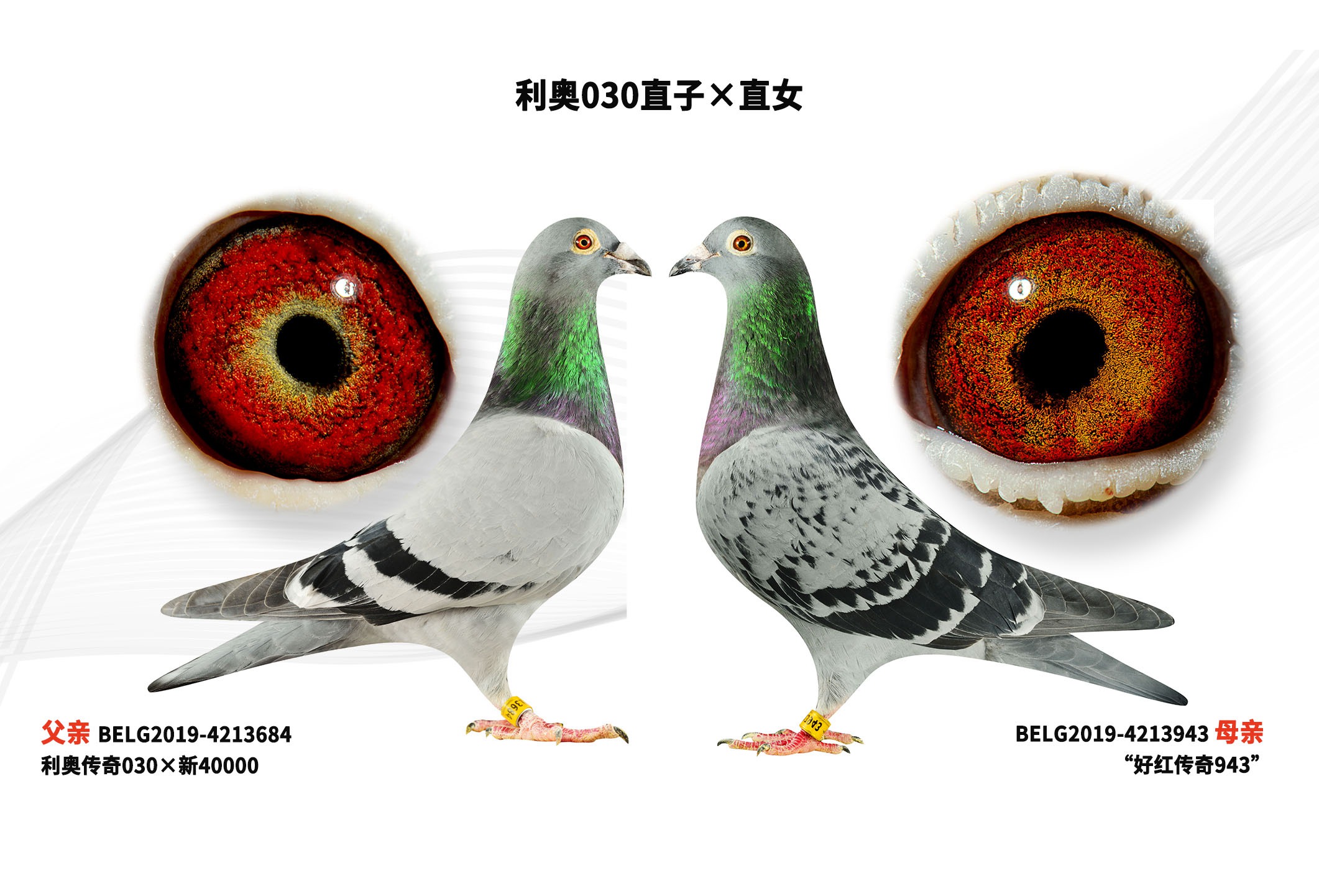 ����030ֱ�ӡ�ֱŮ