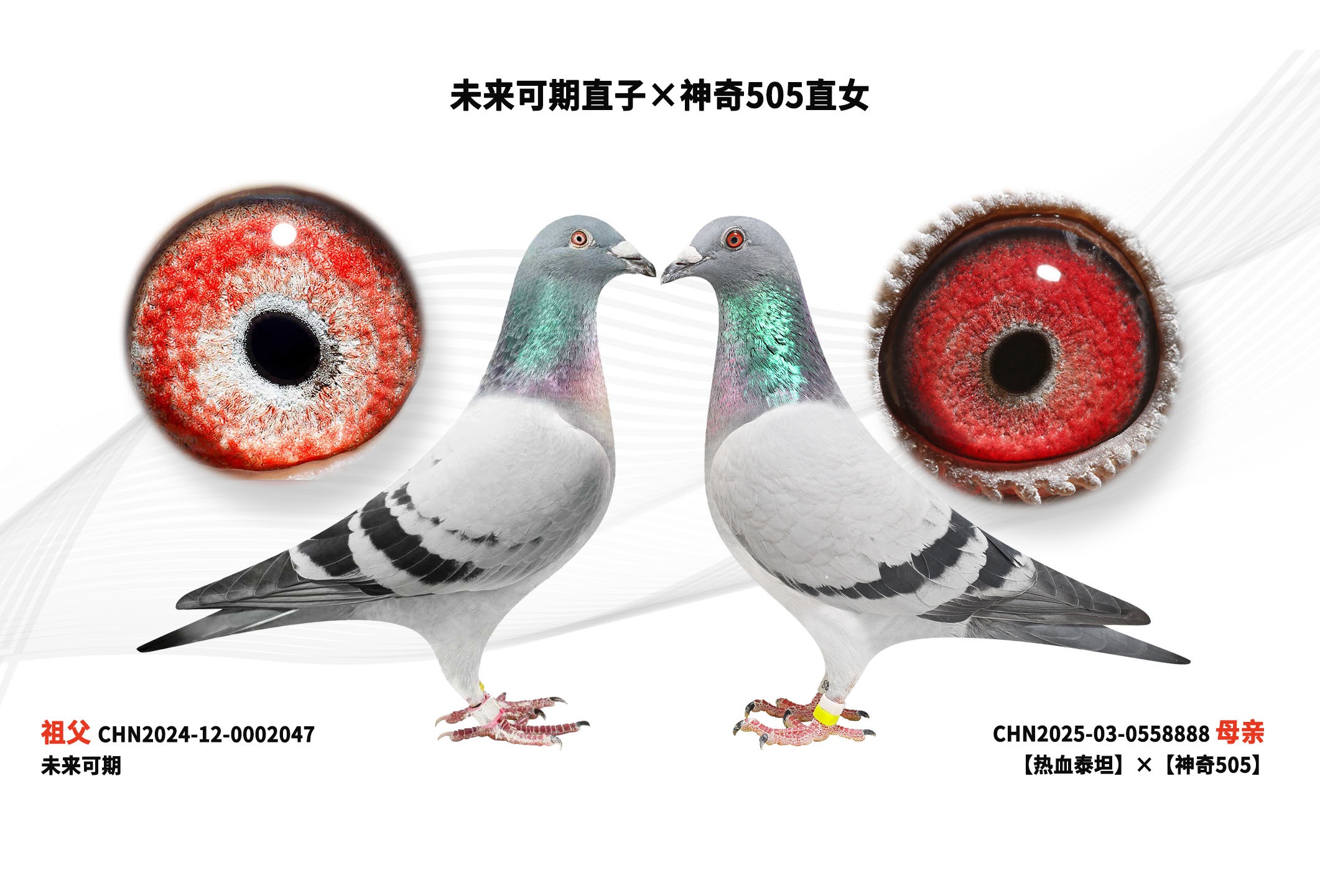 δ������ֱ�ӡ�����505ֱŮ