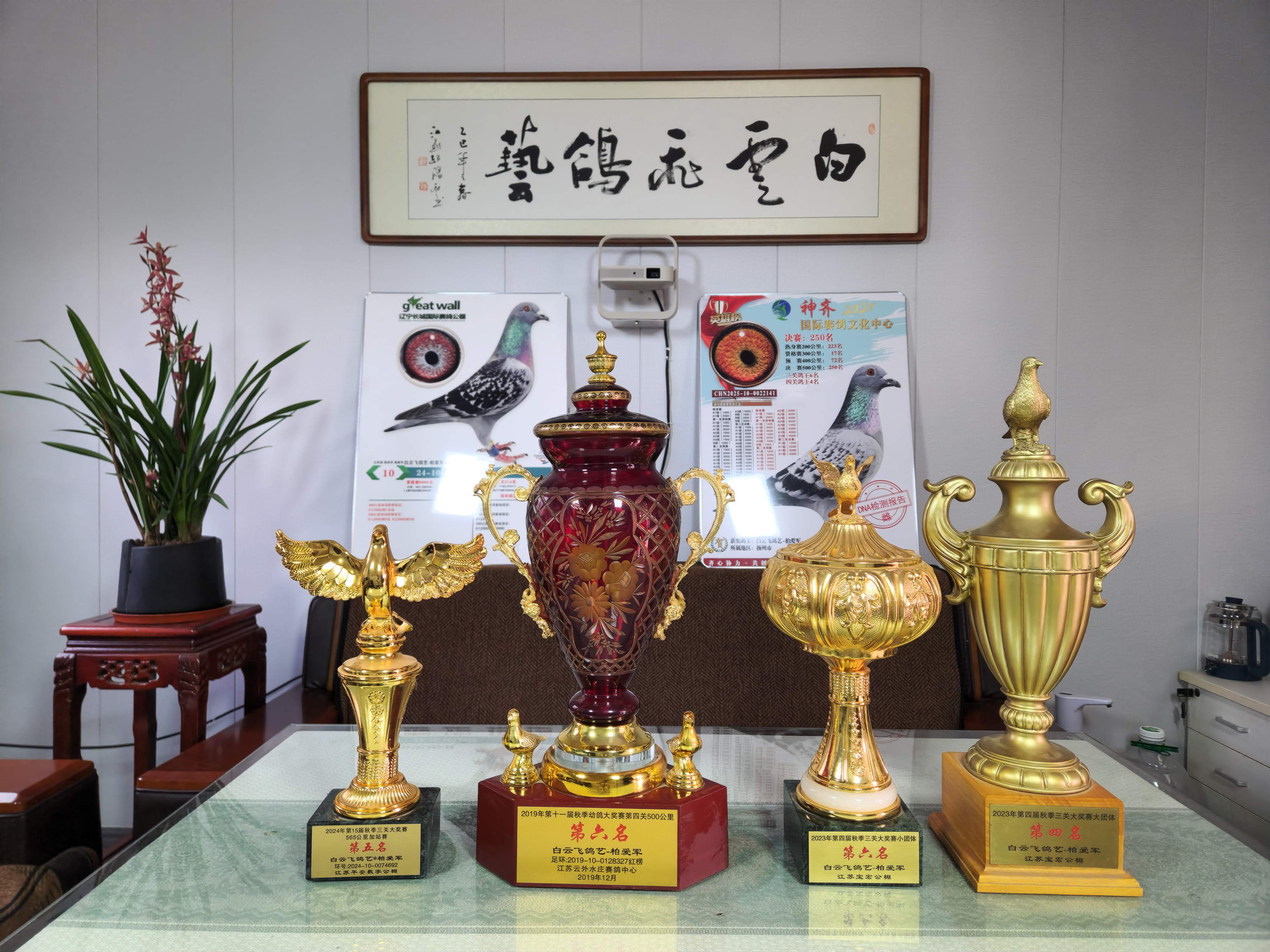 ��������ˮׯ��ƽ�����֡����ձ��꽱��չʾ