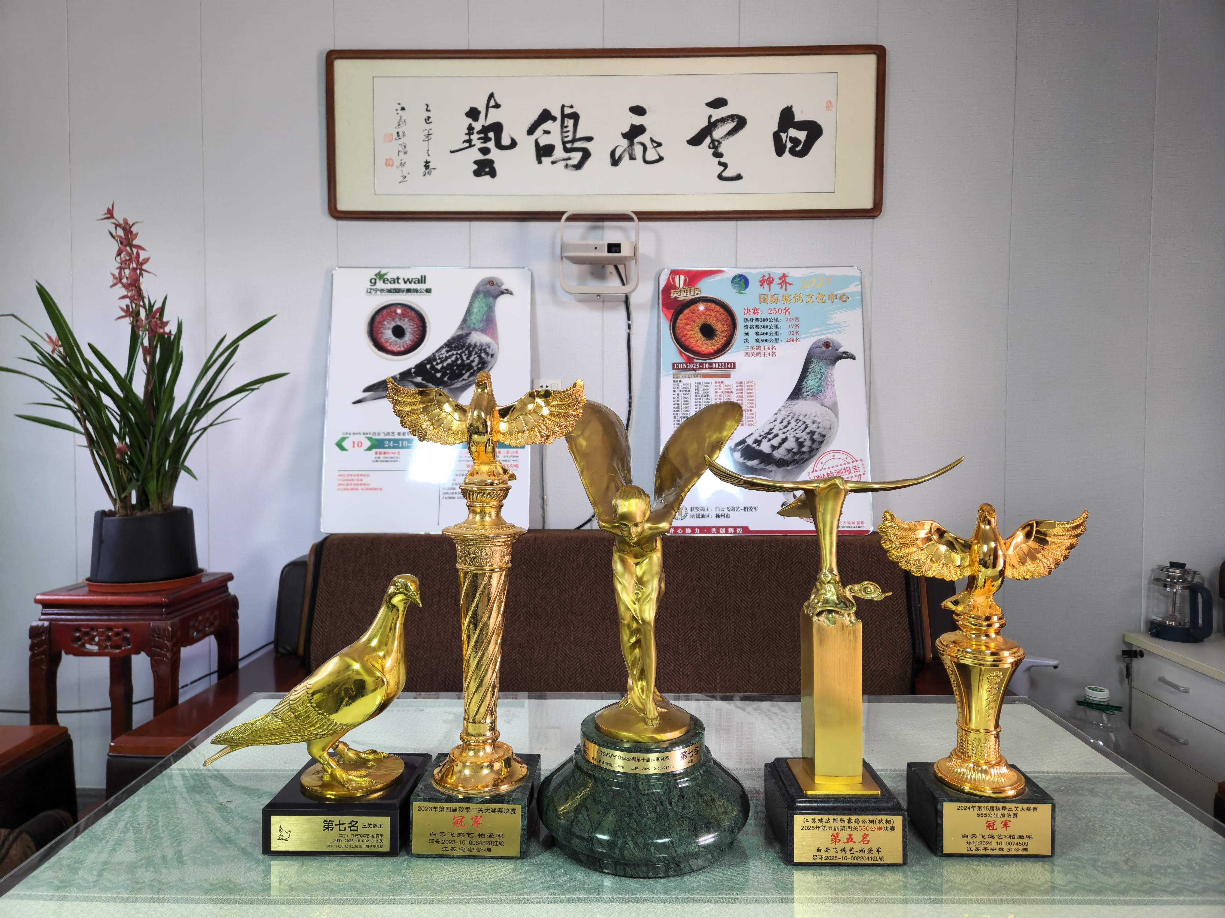 ���ձ��ꡢ�����ڳϡ�������ｱ��չʾ