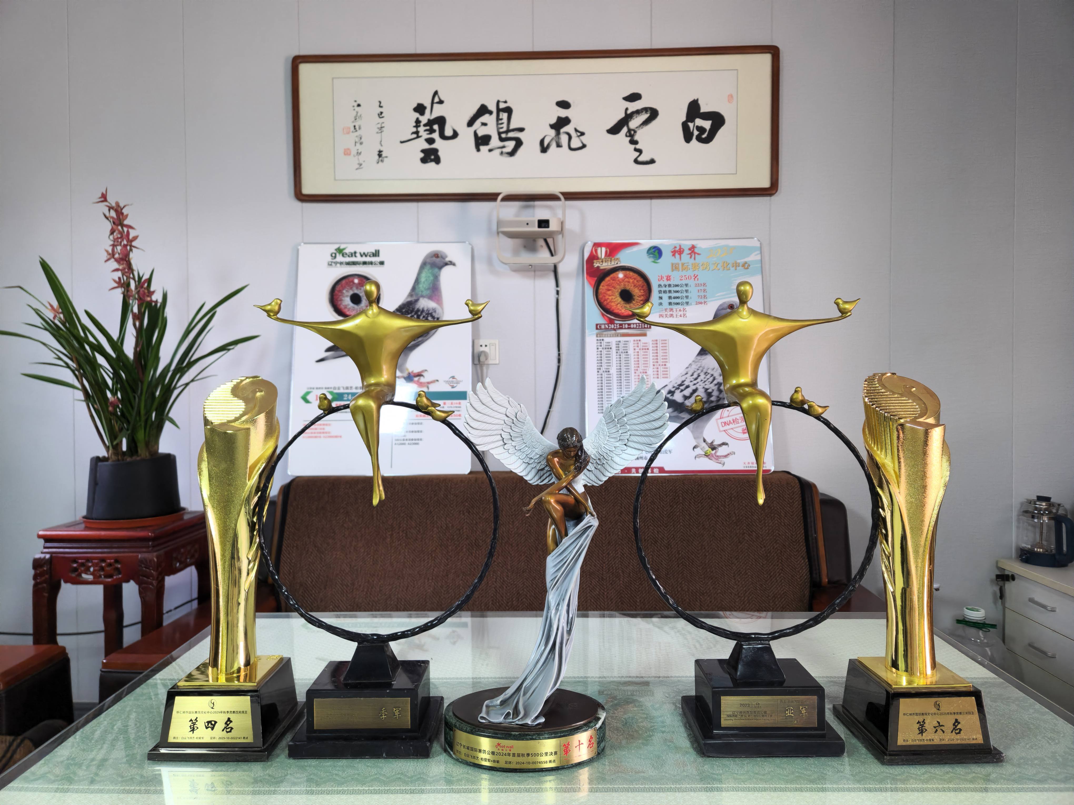 ���ݻԻ͡����ǹ��ʡ�ɽ�����빫�ｱ��չʾ