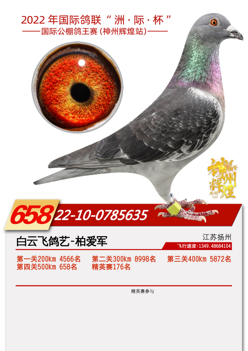 2022���������ݻԻ͹���658��